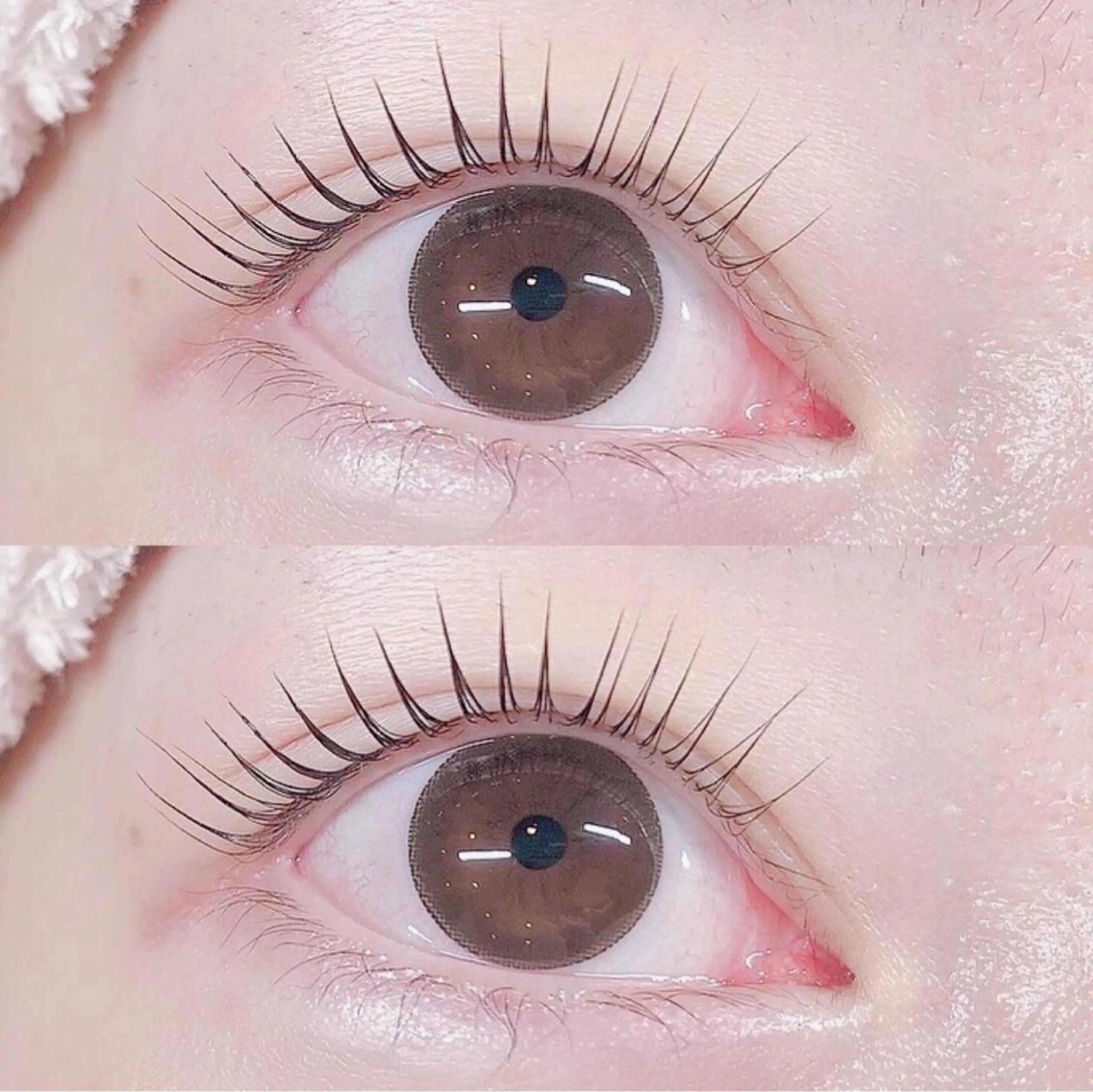 マツエク・マツパ 韓国風マツエク パリジェンヌラッシュリフト まつげパーマ 一重×まつ毛パーマ ワンホンマツエク マツパ eyelist 🌼 Mahoのマツエク・マツパデザイン