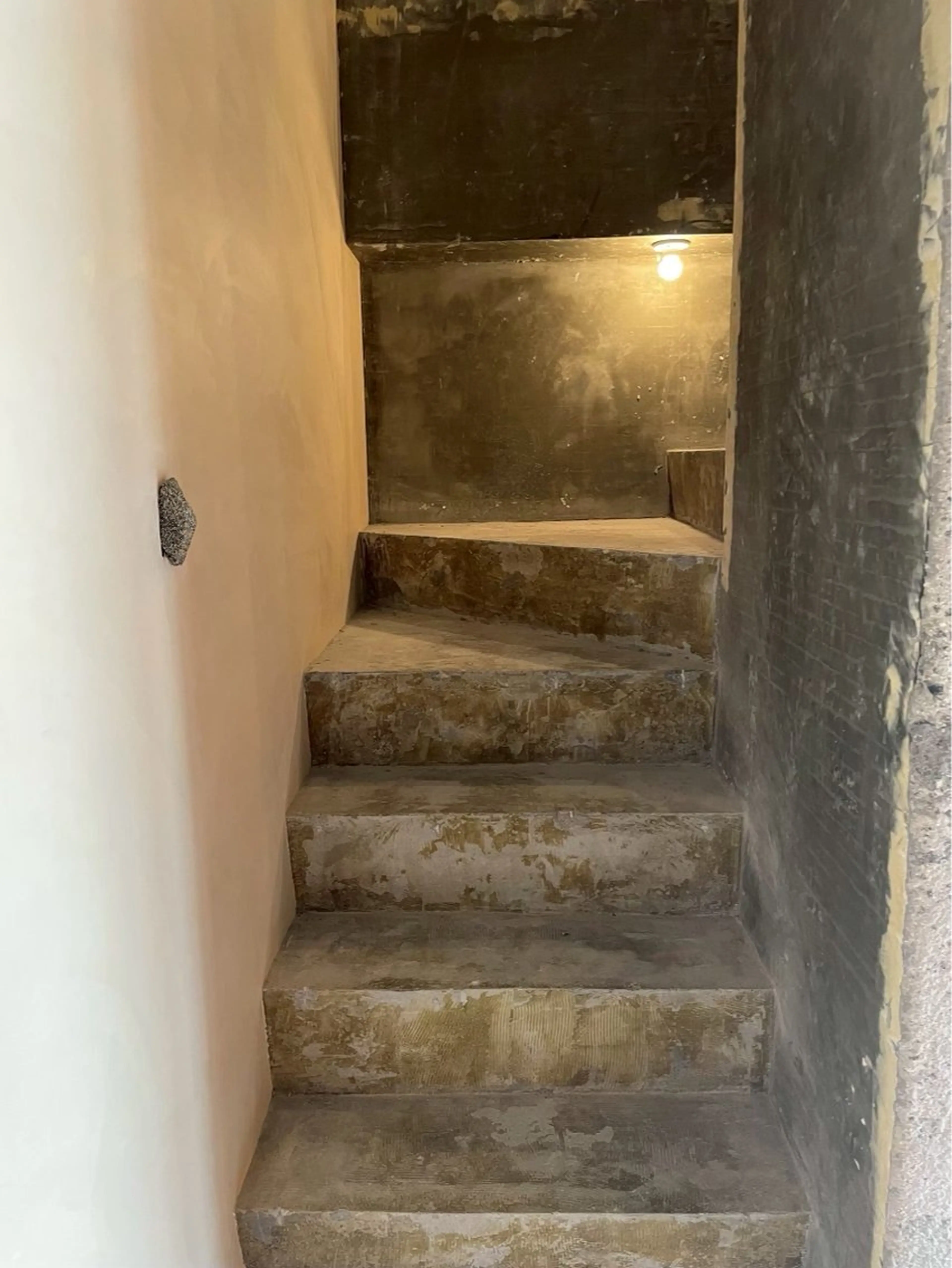 山本 真綺のヘアスタイル