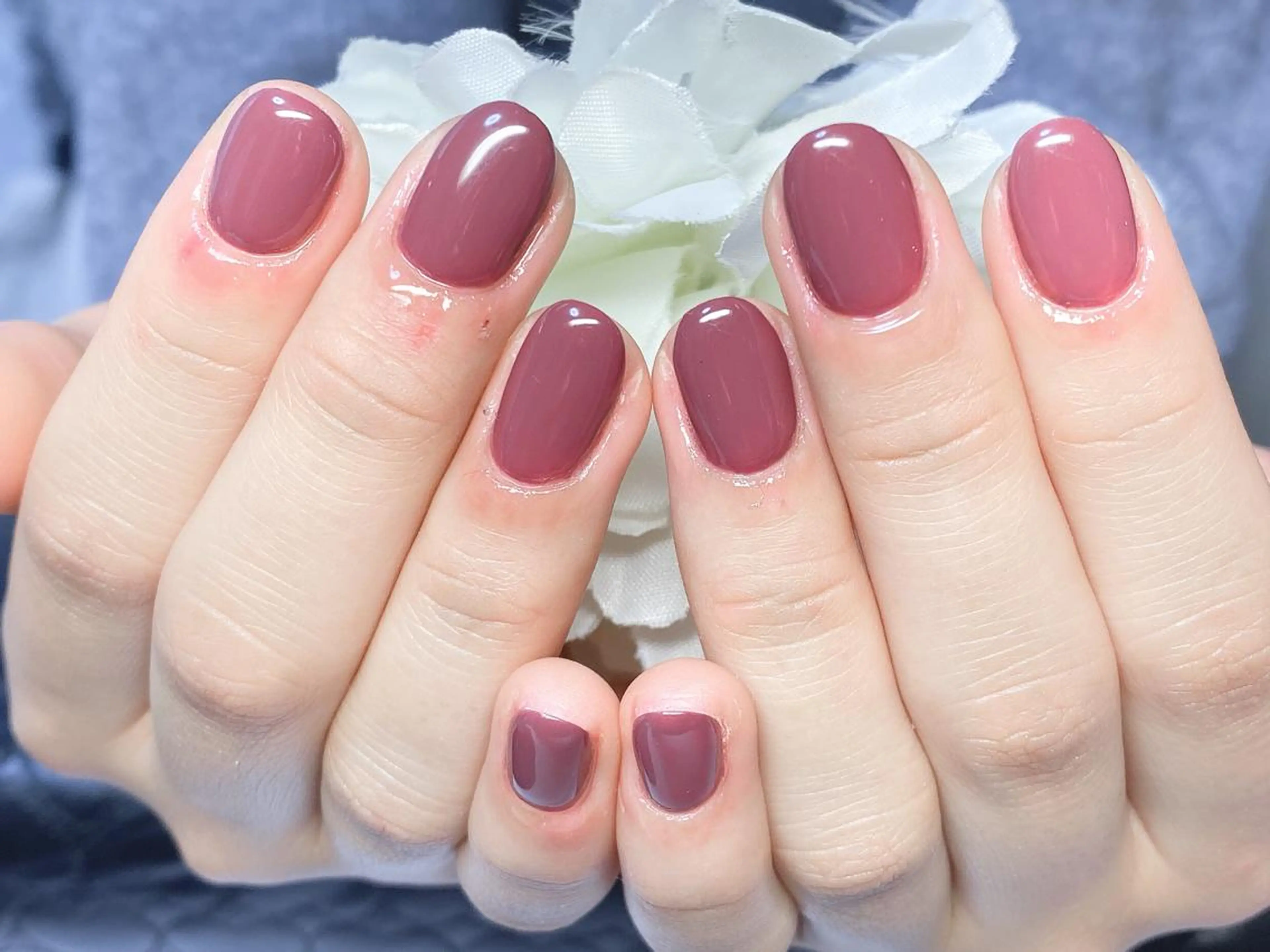 ネイル ボルドー ワンカラーネイル Ｎail Ｓalon ertiのネイルデザイン