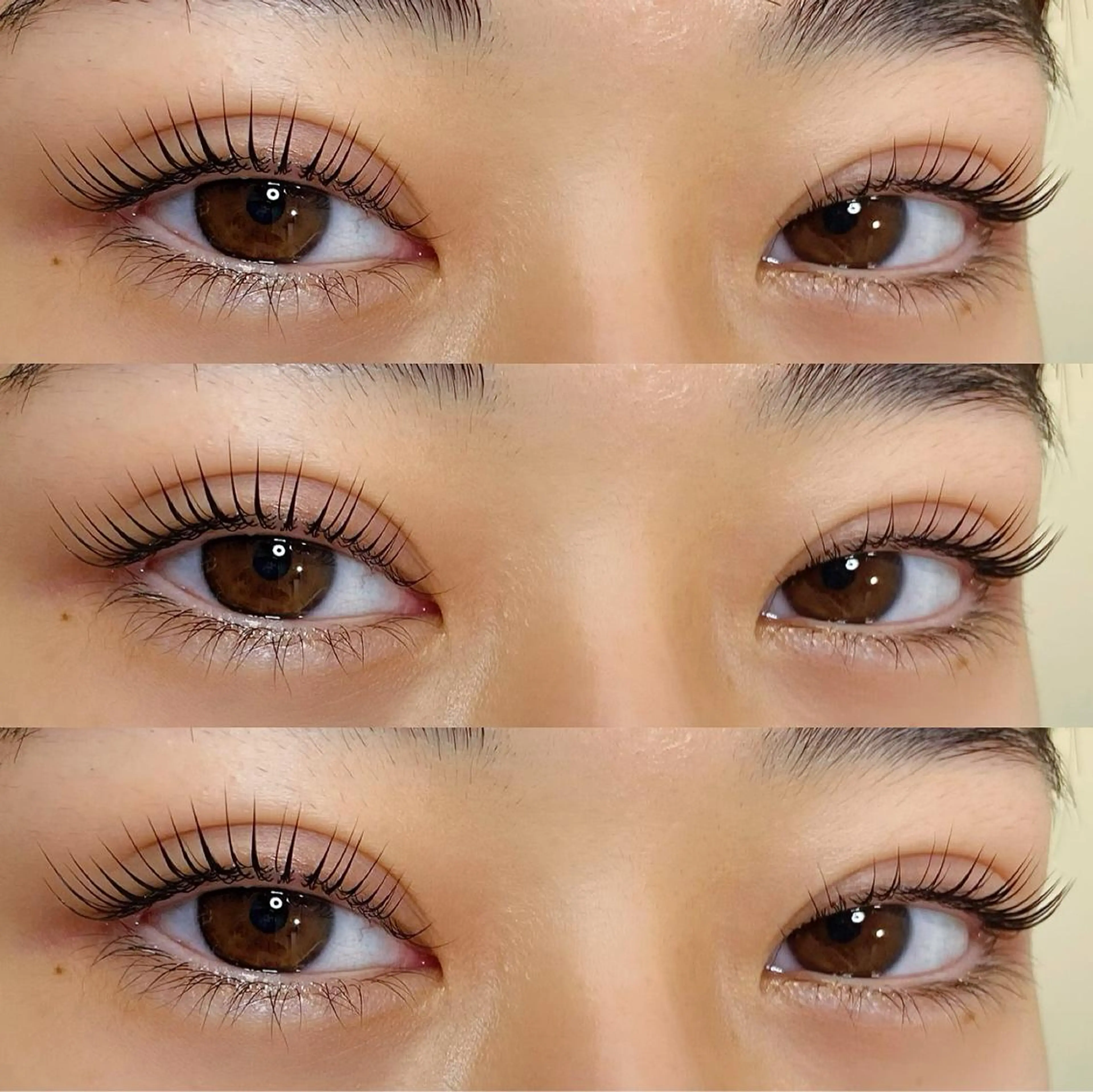 マツエク・マツパ パリジェンヌラッシュリフト kyo kaの眉毛・アイブロウイメージ