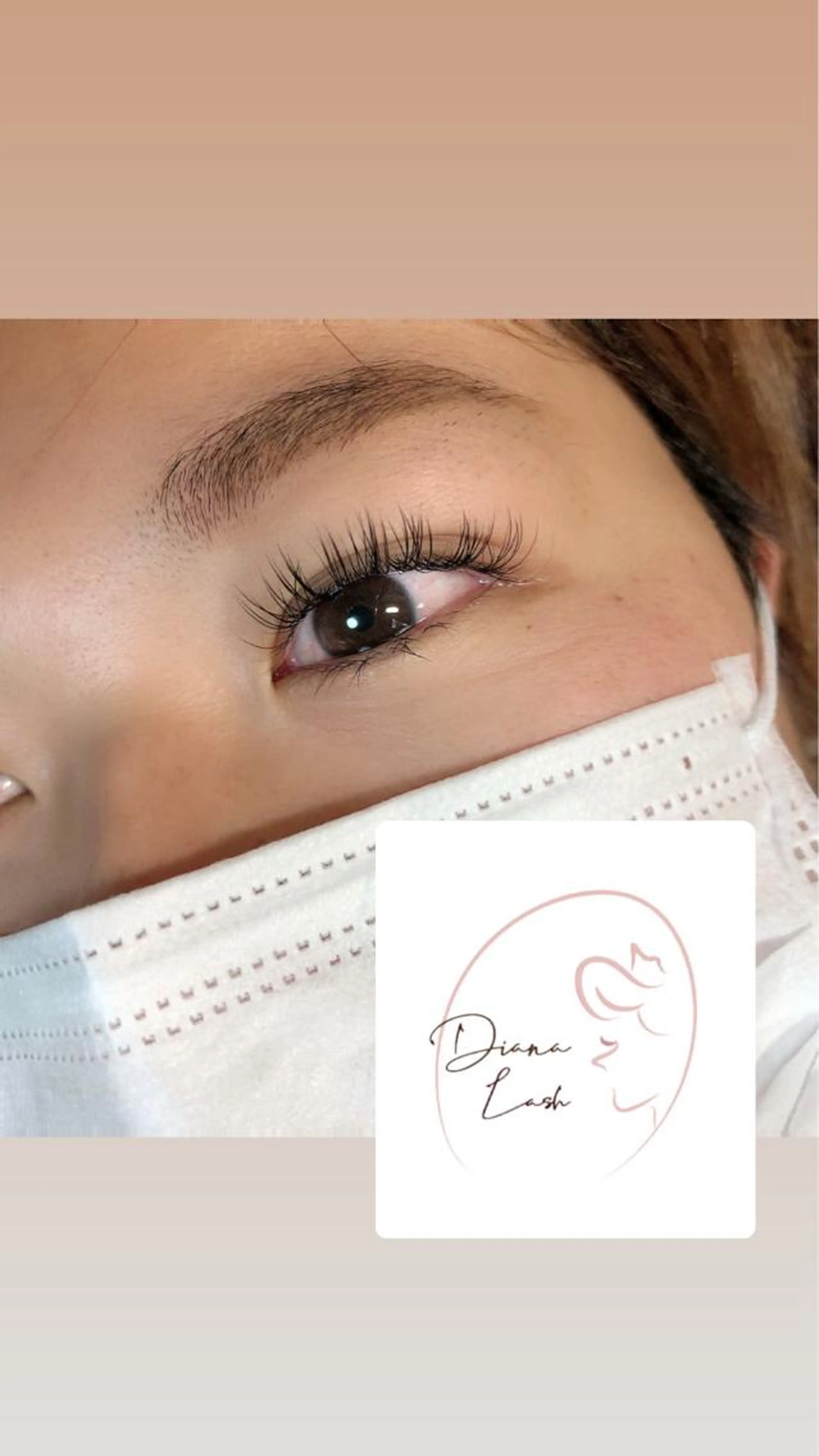 ダイアナラッシュ 120束の写真