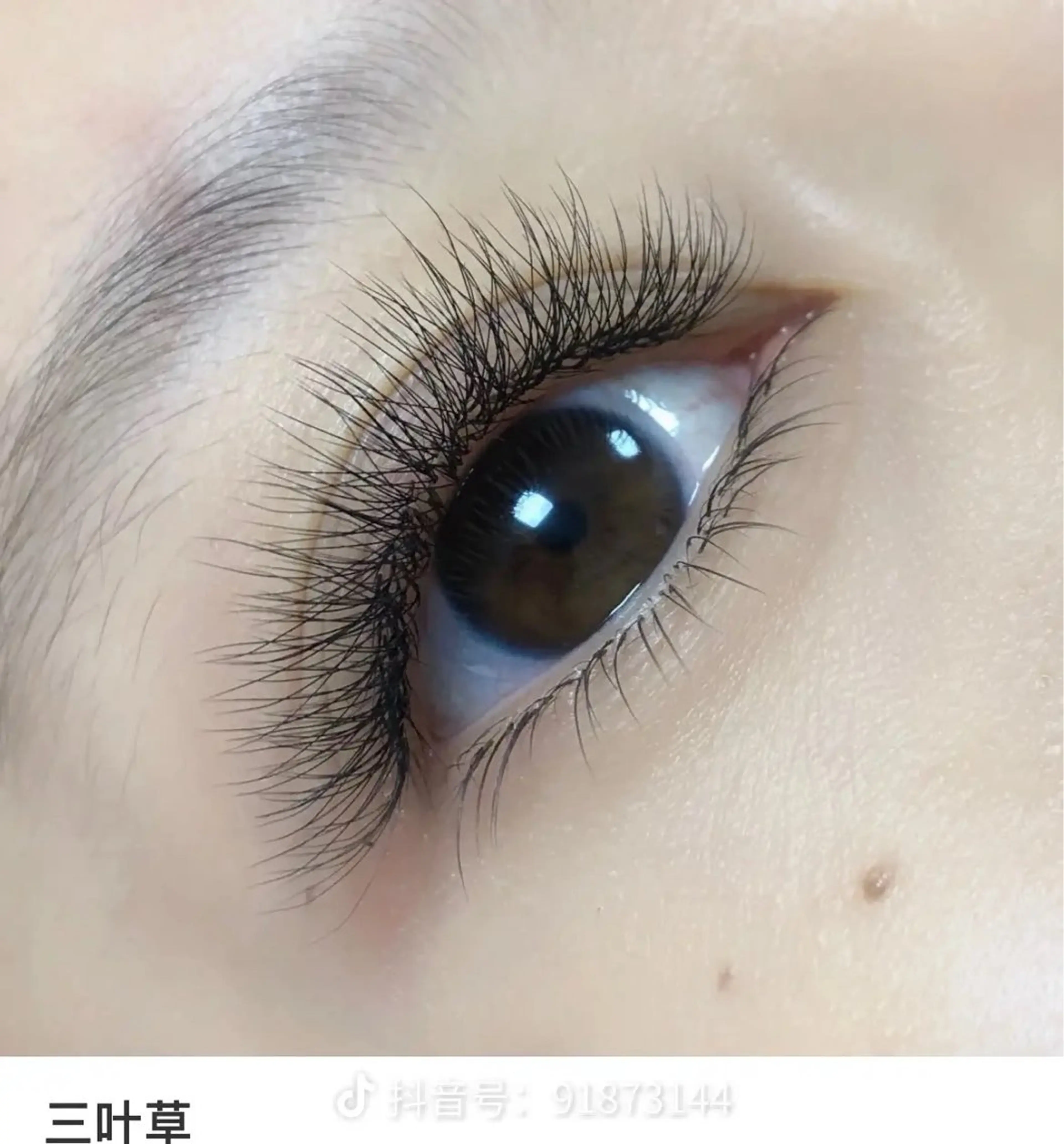 （フラットボリューム×長持ちで人気）クローバー型80束（240本）(B、C、Dカ-ル)(8​〜​13ミリ)(オフ無料)の写真