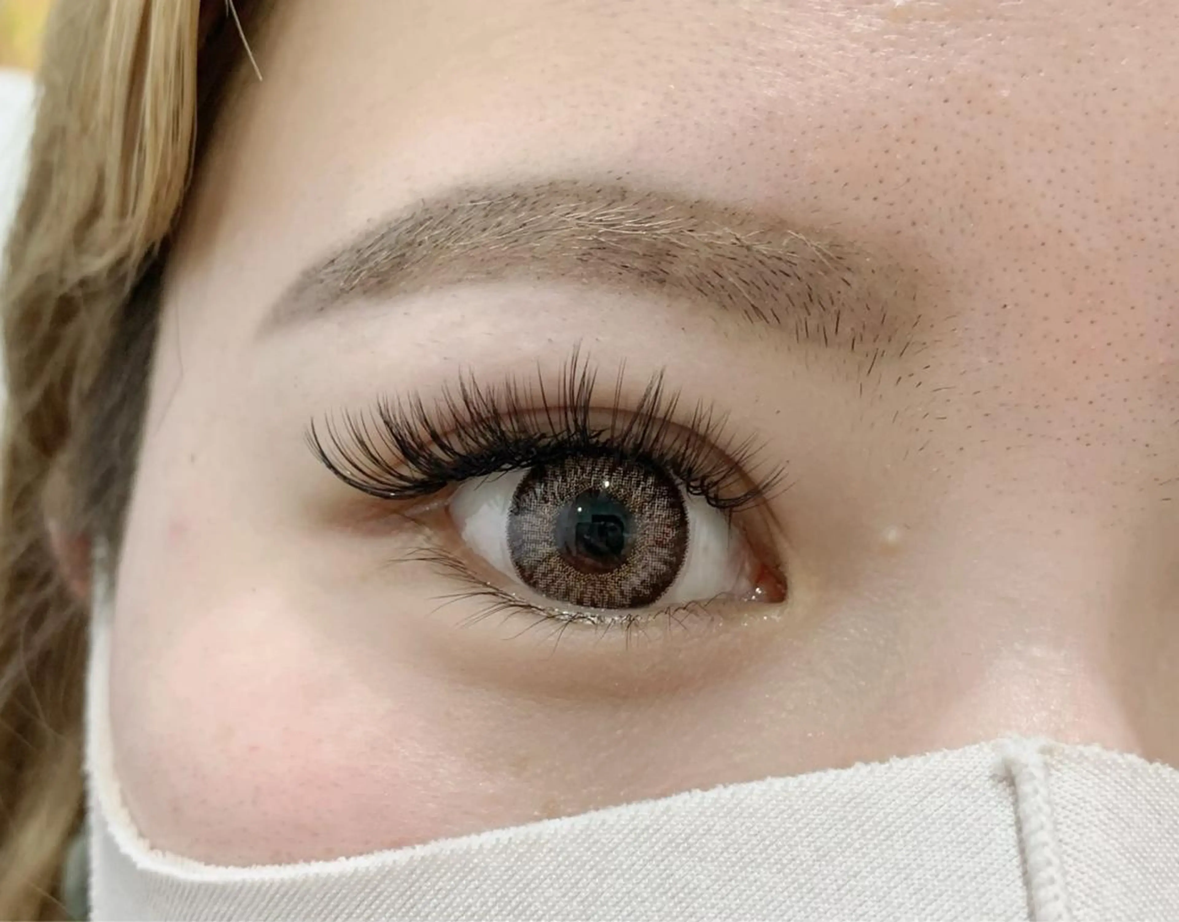 ✨5Dボリュームラッシュ100束✨の写真