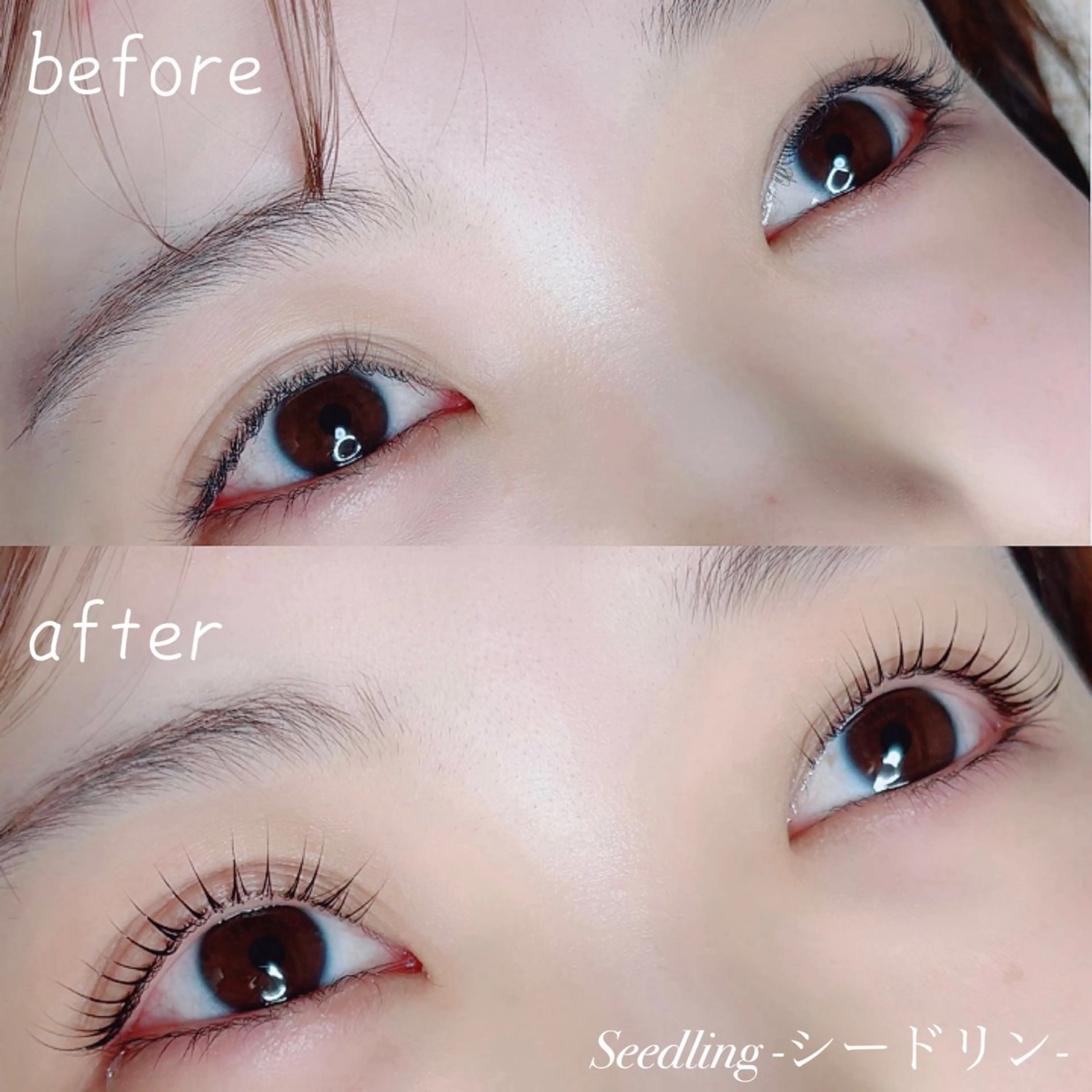 マツエク・マツパ シードリン 府内店 小野梨央のマツエク・マツパデザイン