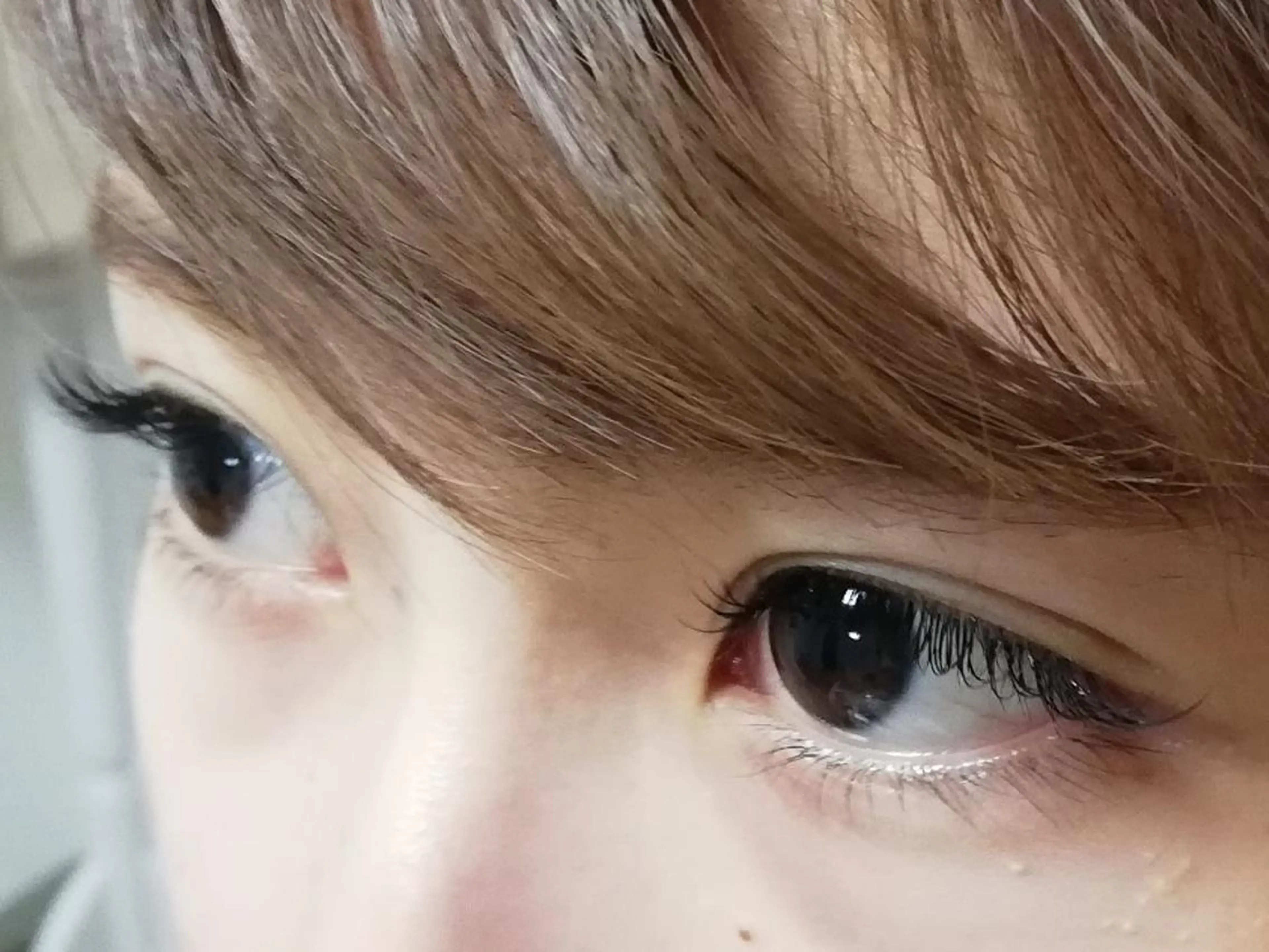 マツエク・マツパ キュート セーブル 完全個室サロン🌹 angelux🌹のマツエク・マツパデザイン