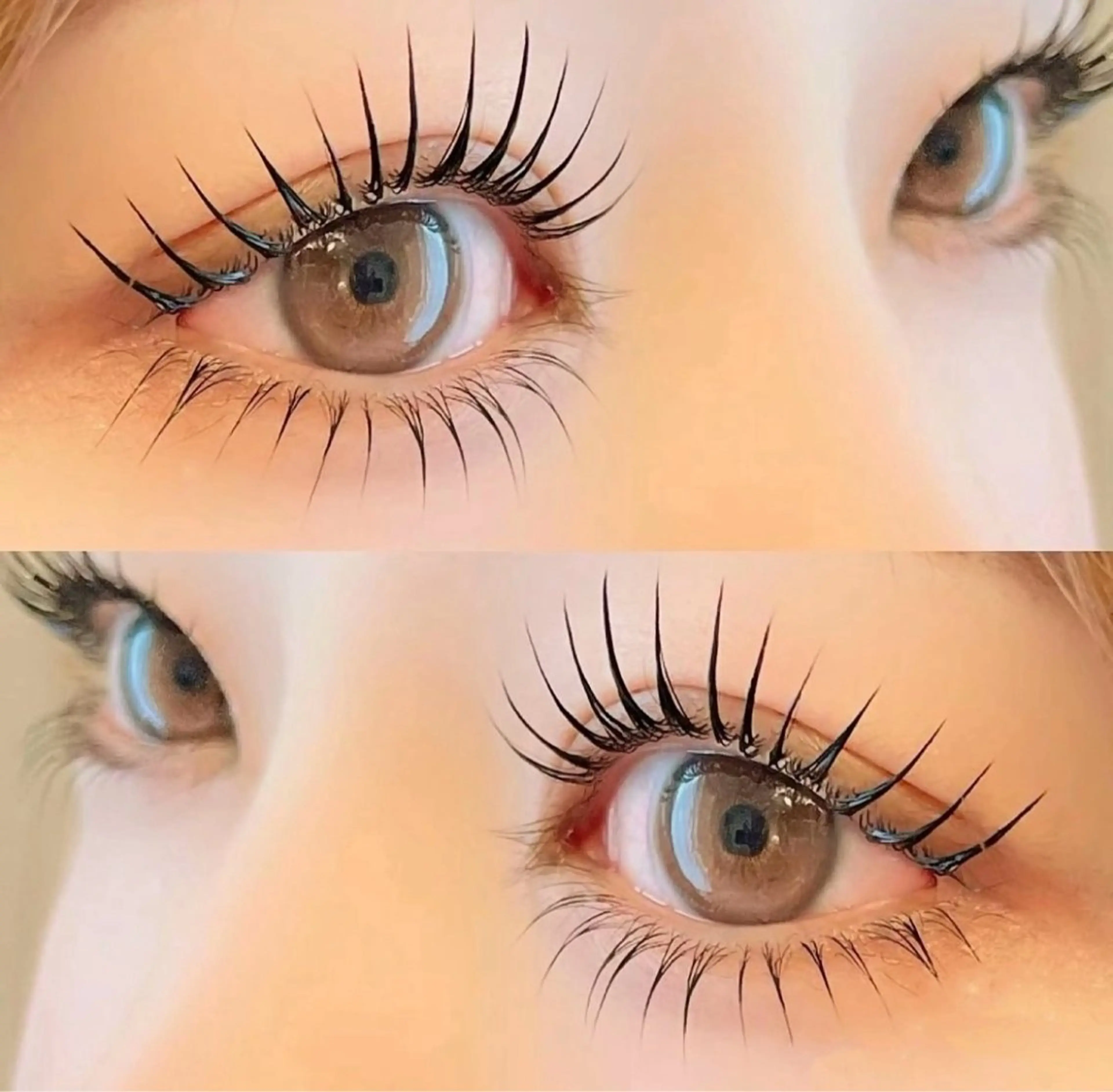 【パリエク】⭐️パリジェンヌ+バインドロック60束（シングリ120本前後くらいの濃さ）の写真