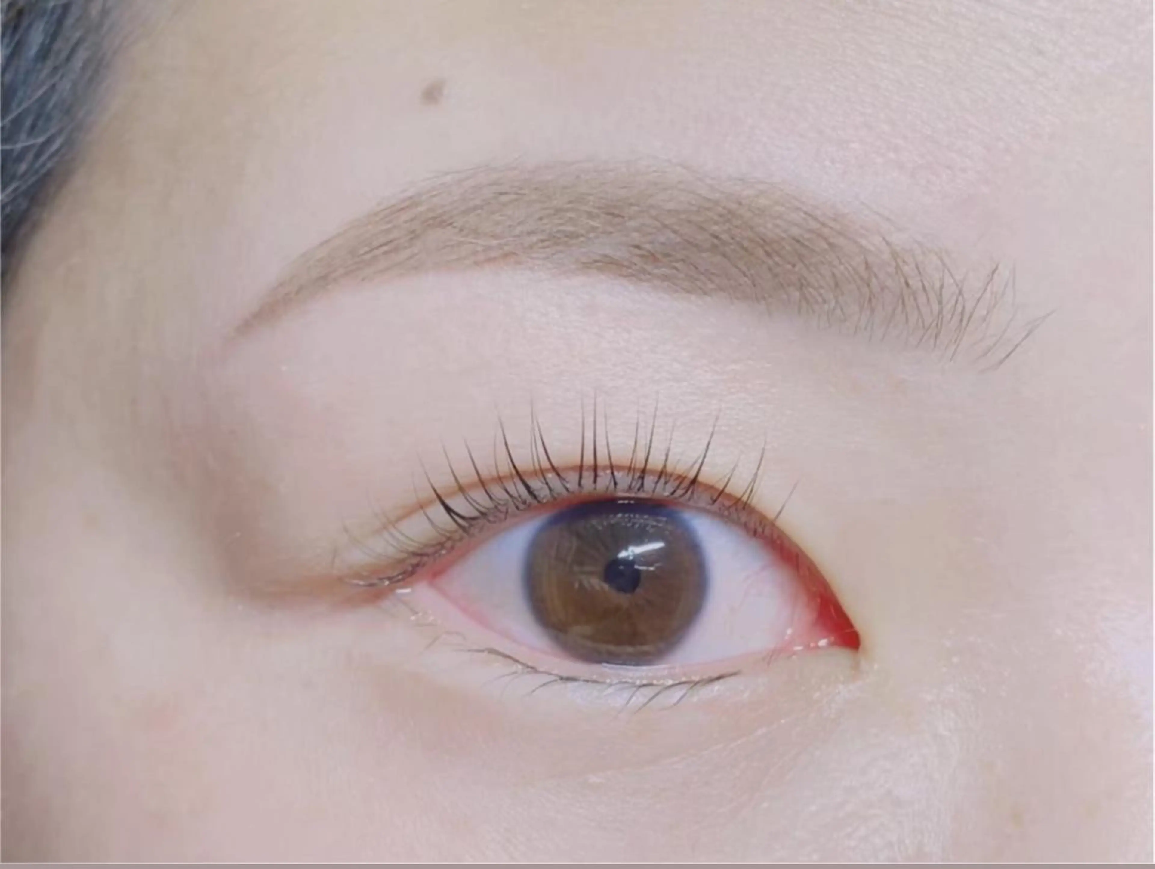 アイブロウ 眉毛ワックス脱毛 Anela 🦋HARUMIの眉毛・アイブロウイメージ