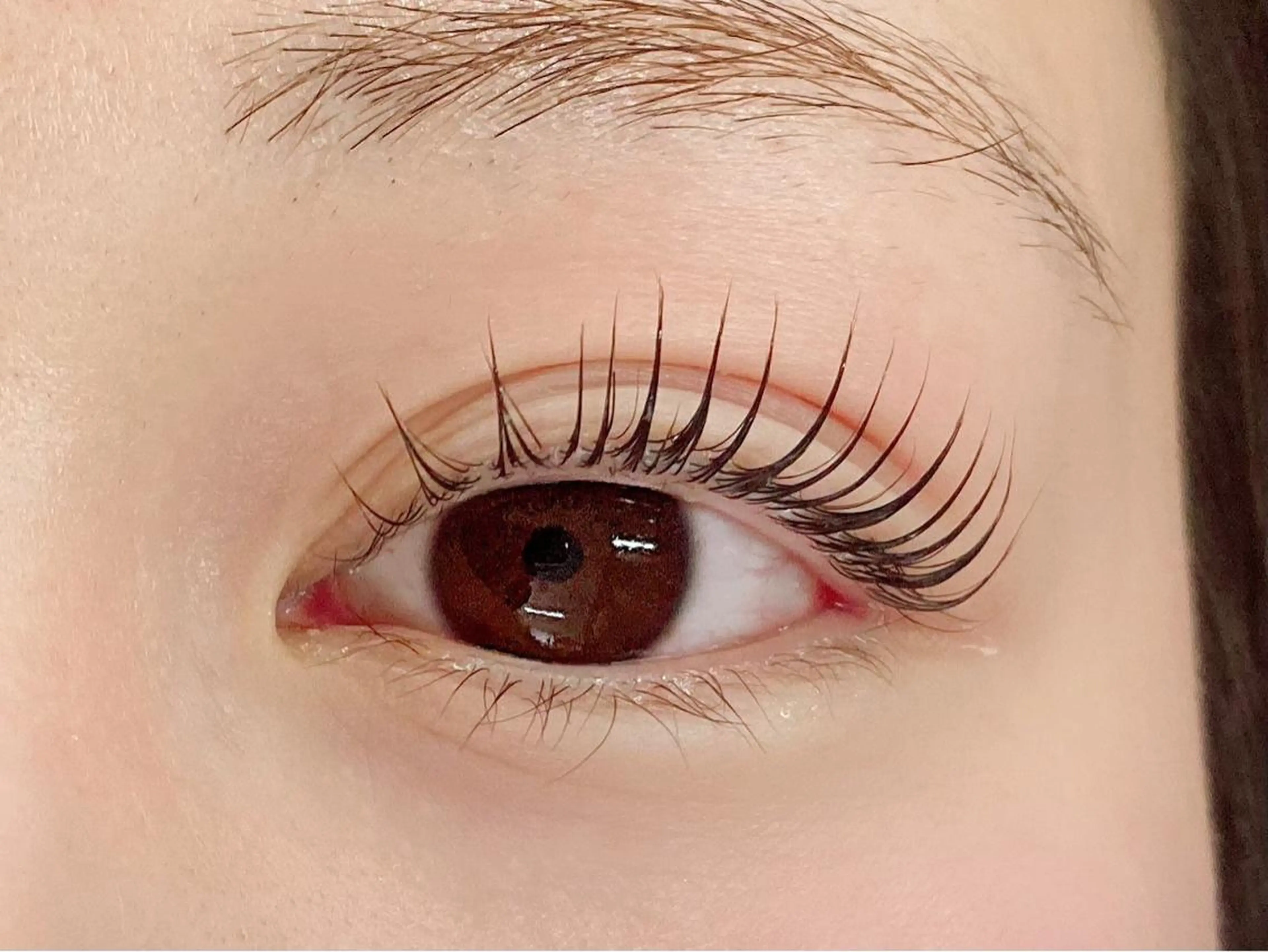 マツエク・マツパ パリジェンヌラッシュリフト 高橋 まなみの眉毛・アイブロウイメージ