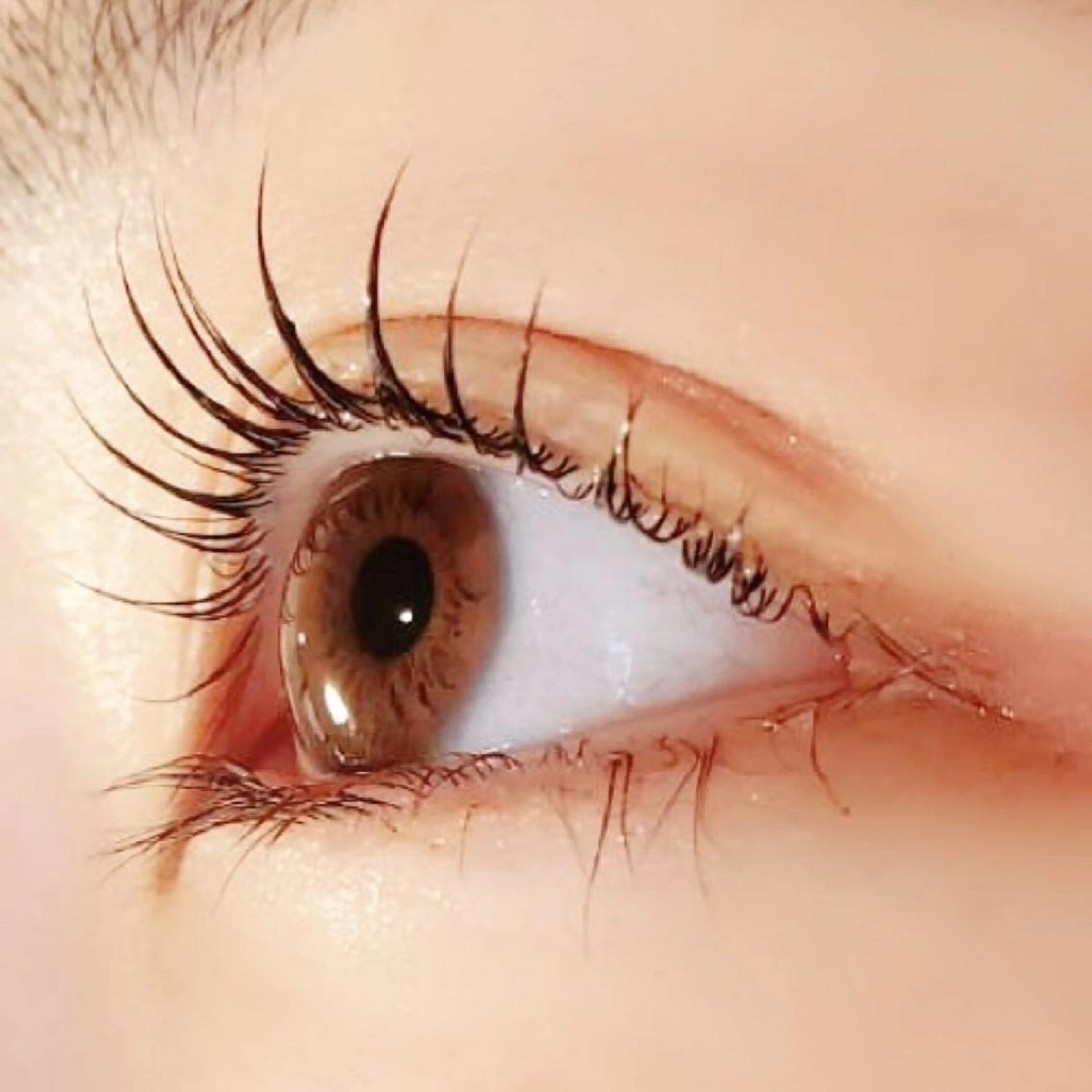 マツエク・マツパ マツパ ant_u🌷 arisaのマツエク・マツパデザイン