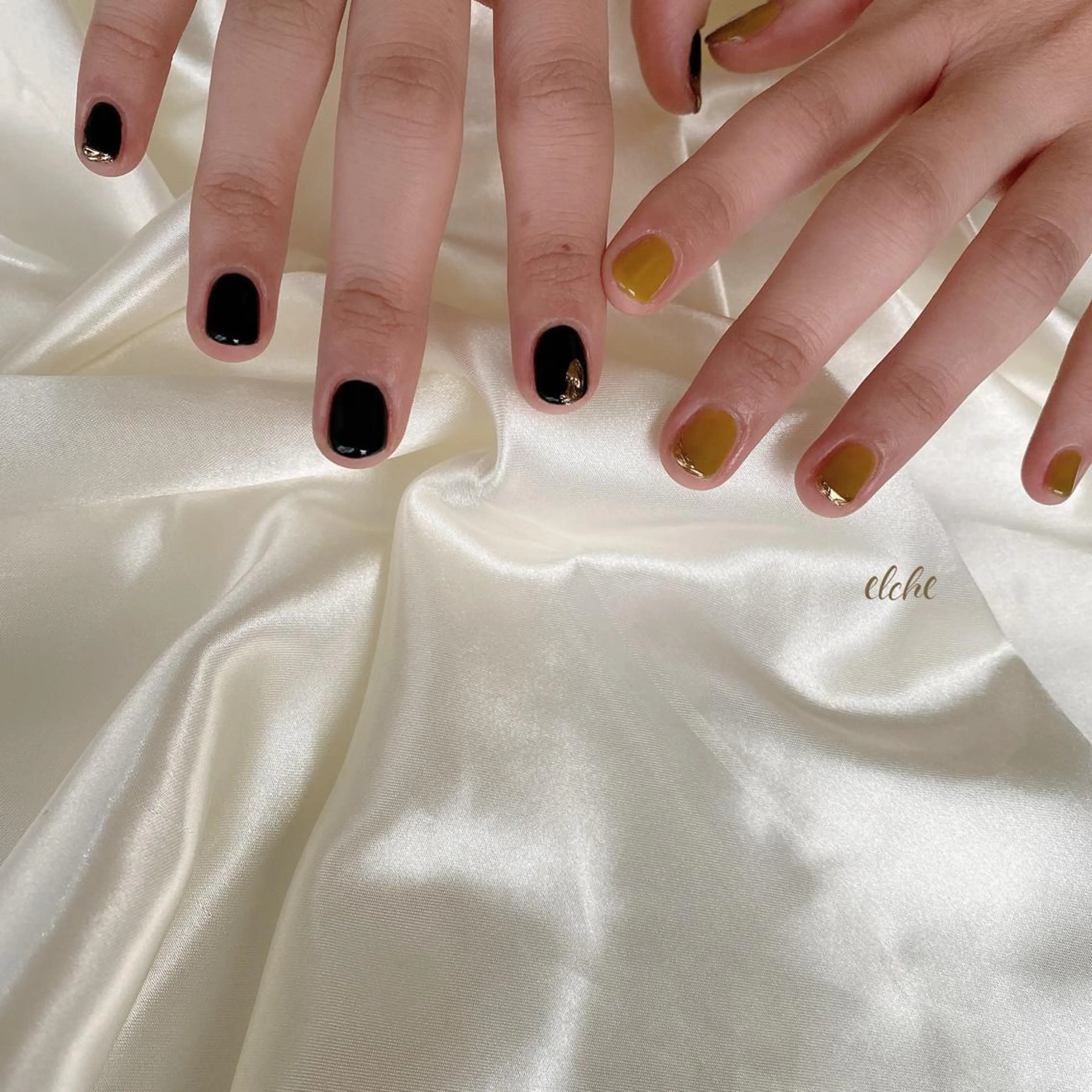 ネイル Rio 𓍼のネイルデザイン