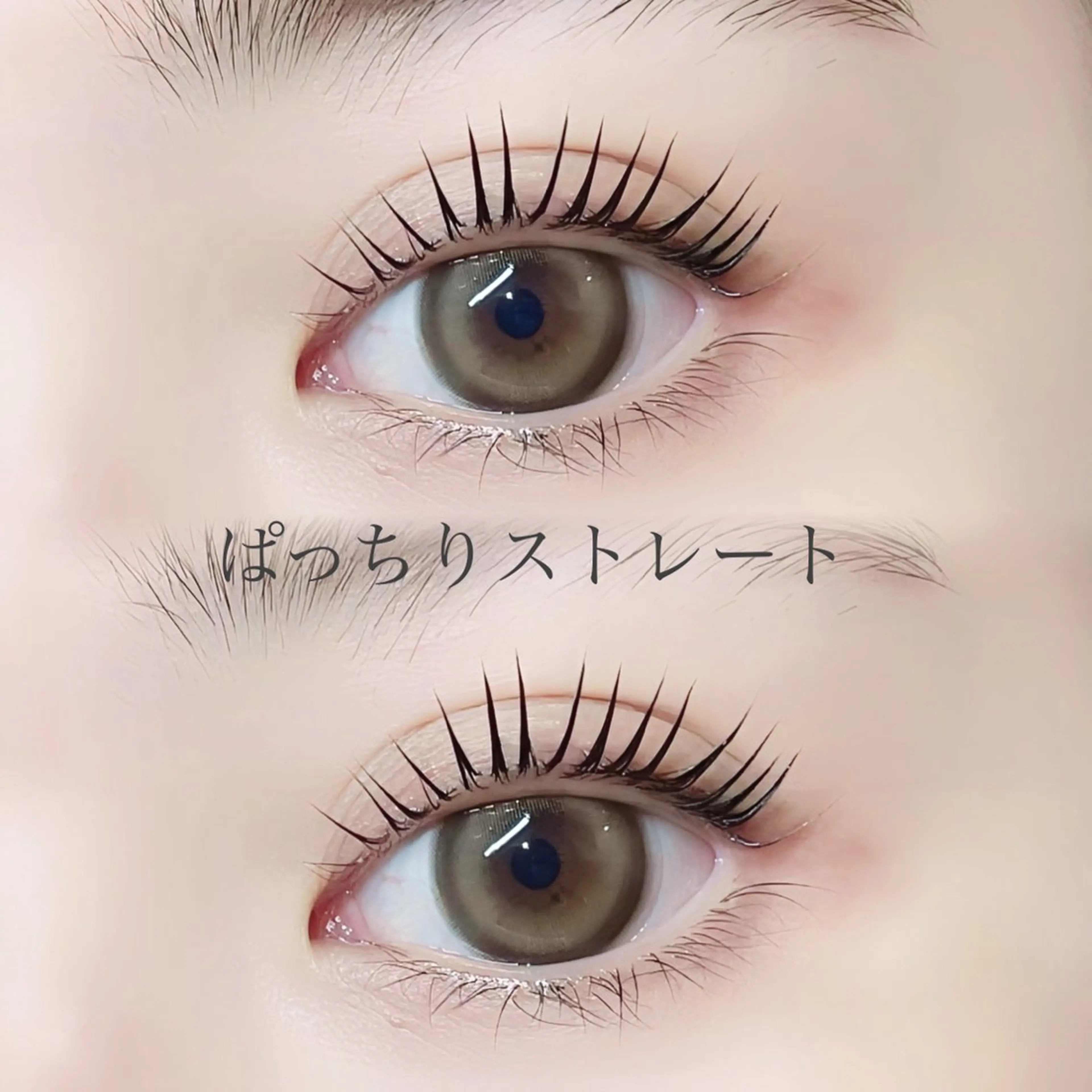 【人気No.1🖤】韓ドル風束感まつ毛パーマ🇰🇷  ナチュラルなのにぱっちり◎アフターケア付き🪄の写真