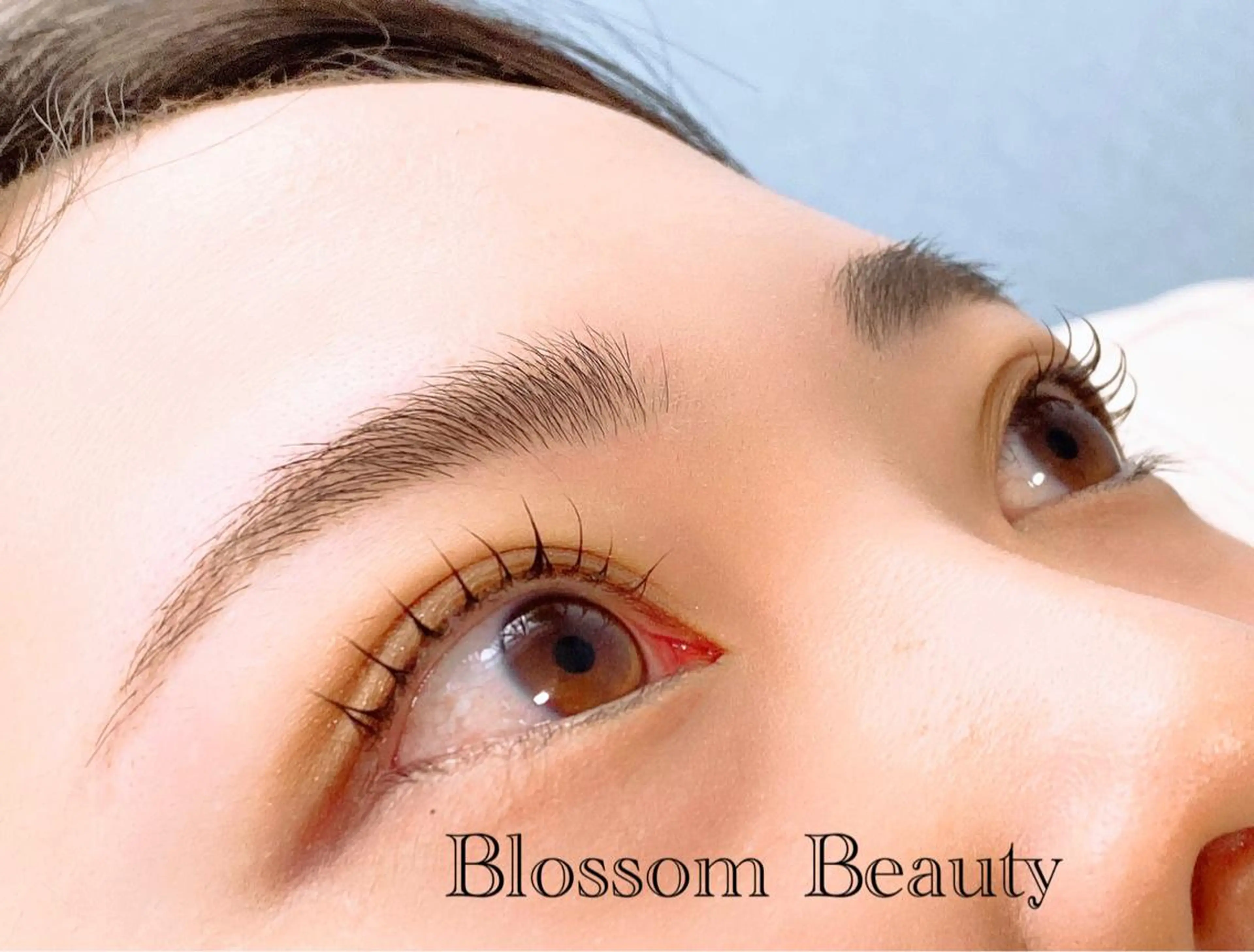 マツエク・マツパ Blossom Beauty aoiのマツエク・マツパデザイン