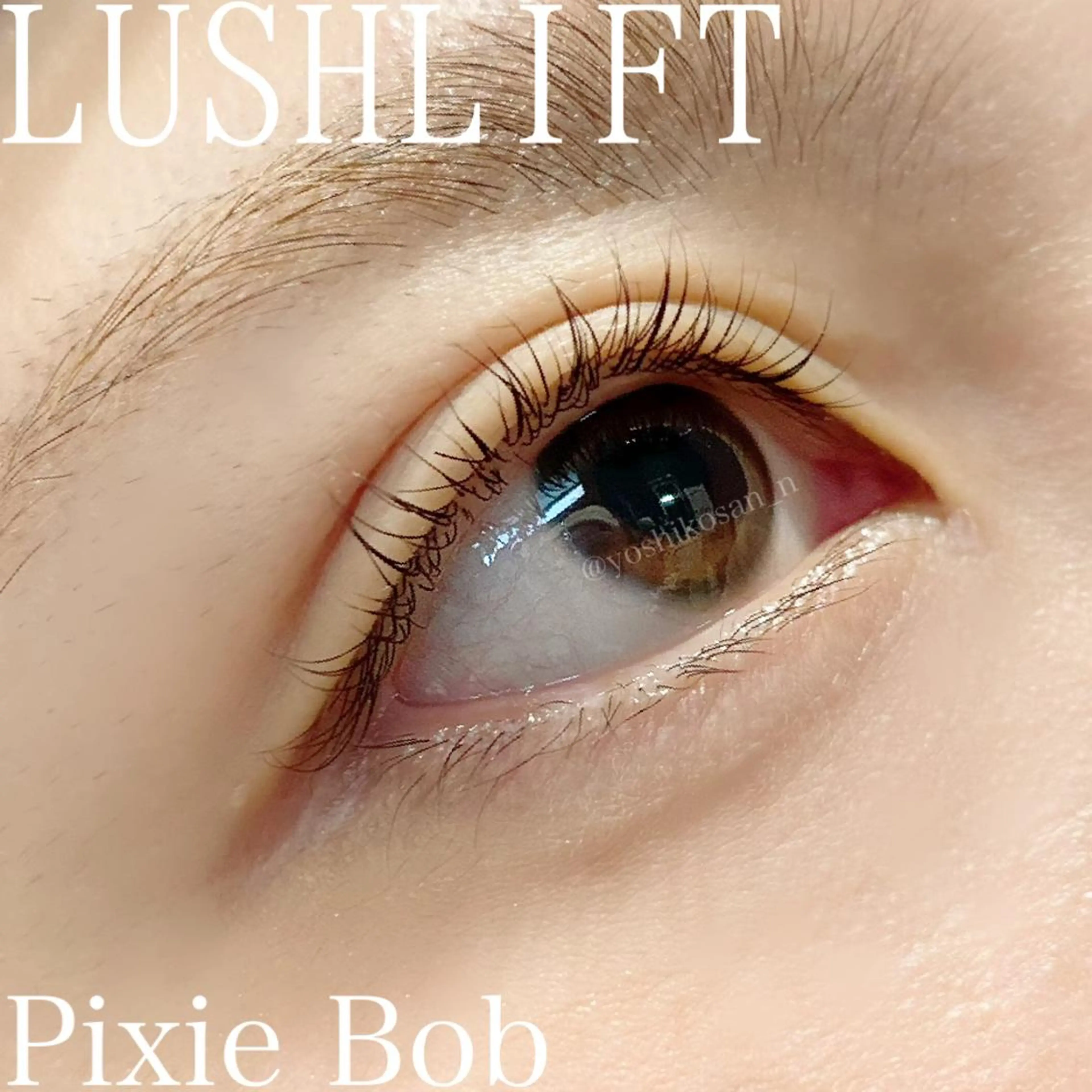 マツエク・マツパ Pixie Bob 🐈‍⬛　位田のマツエク・マツパデザイン