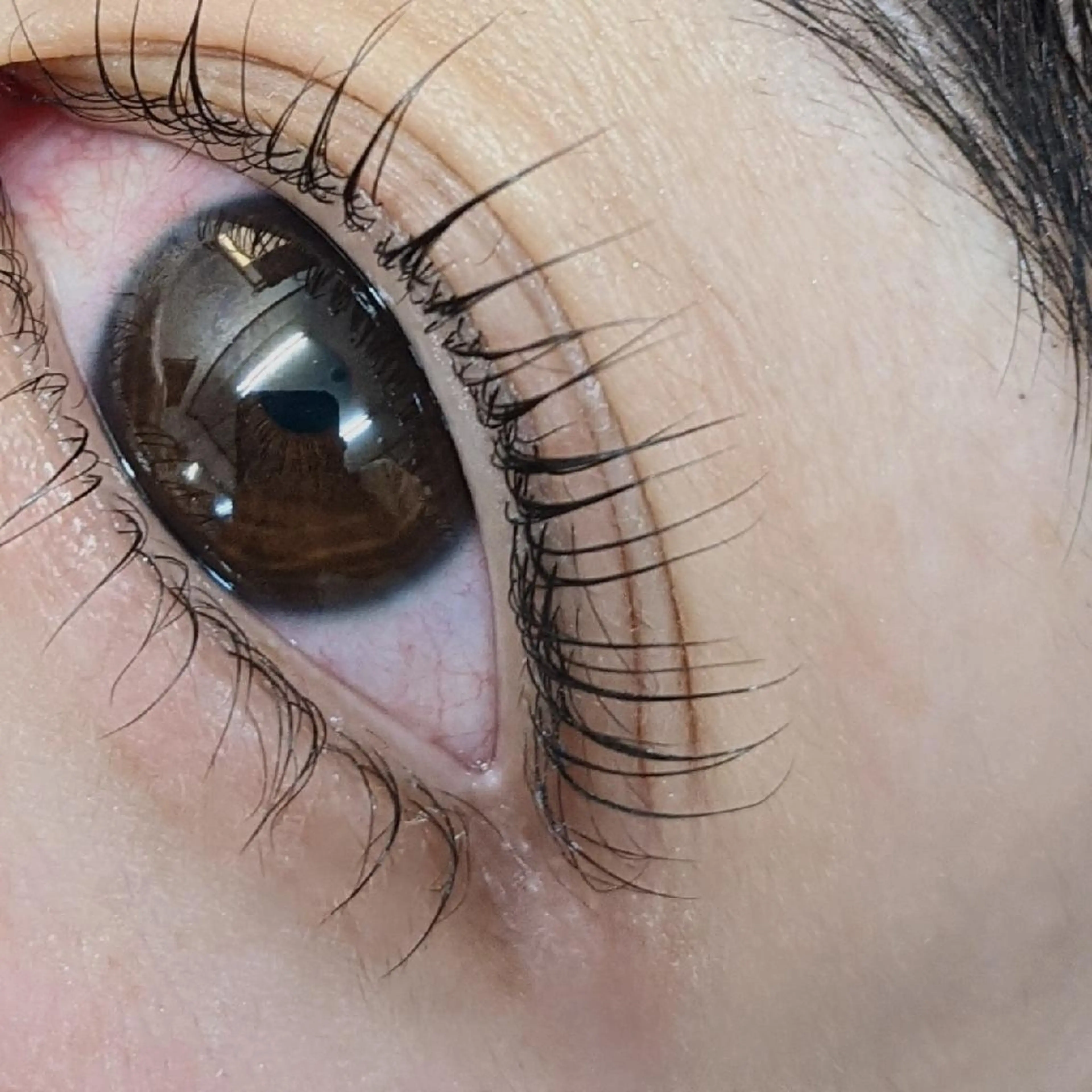 マツエク・マツパ マツパ メンズオーシャンブルー所属・藤中 満里奈の眉毛・アイブロウイメージ