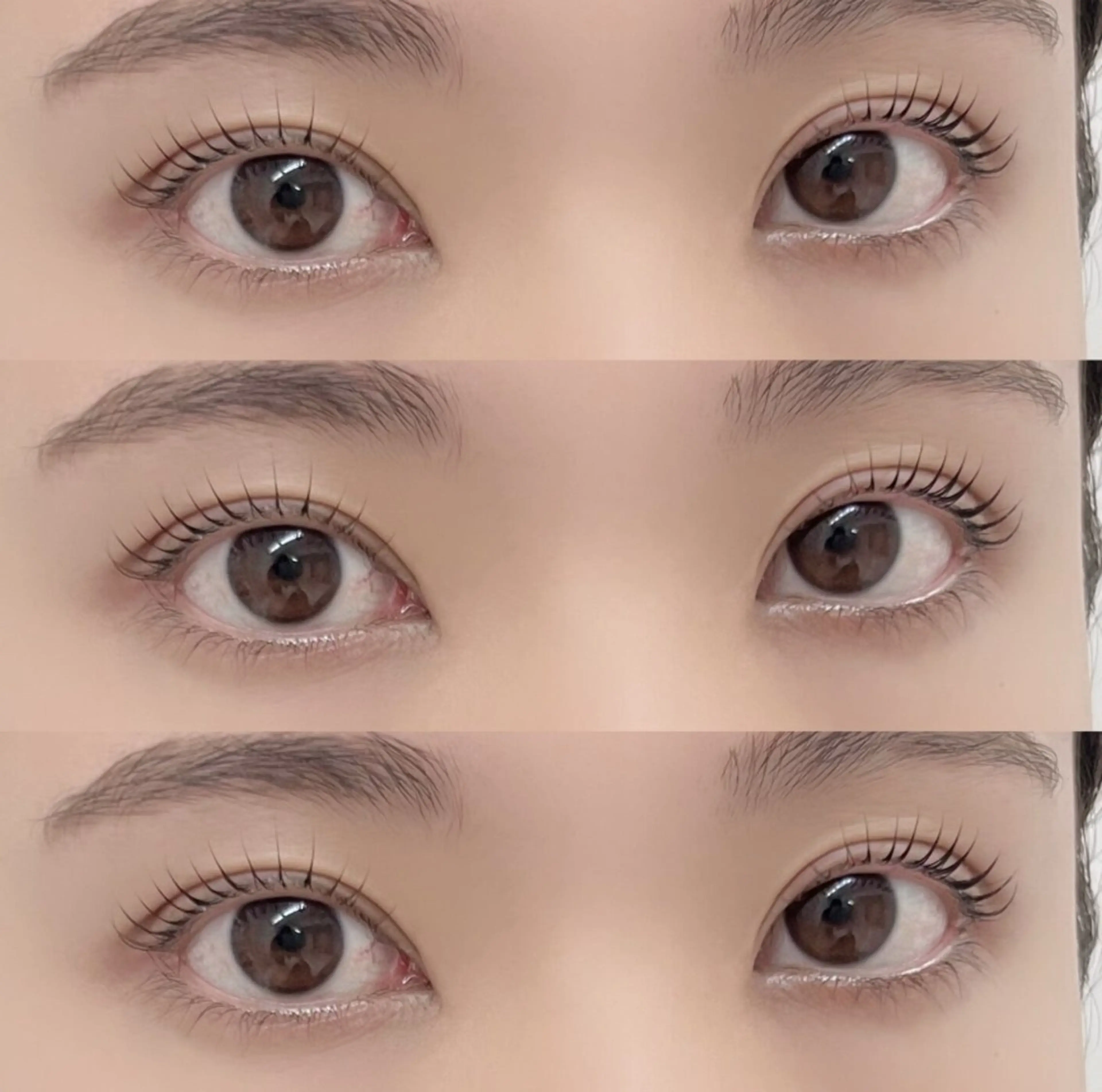 《minimo限定募集✨》ラッシュリフト🌹の写真