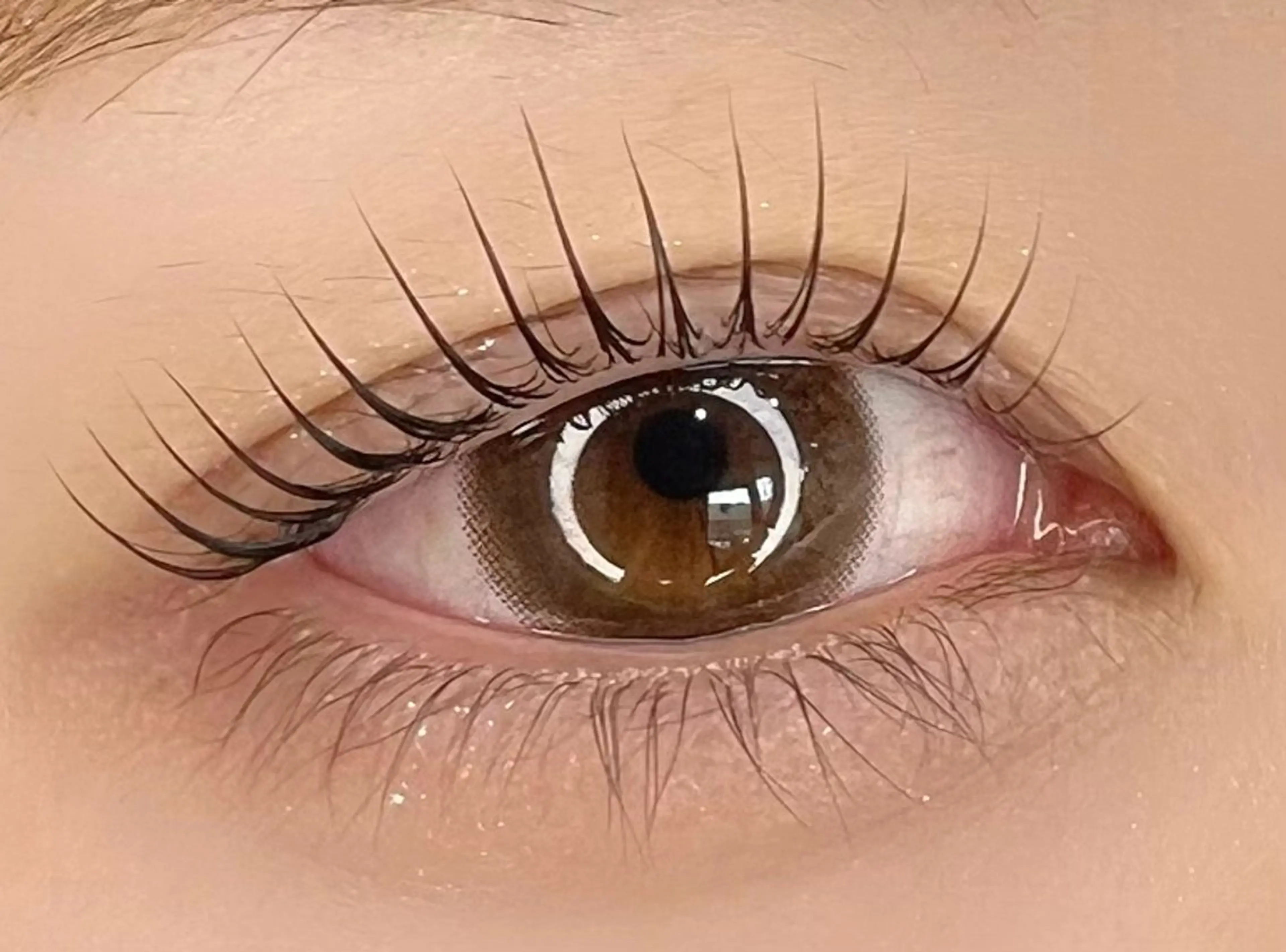 【高持続・毛質改善】ラッシュリフト　高濃度トリートメントの写真