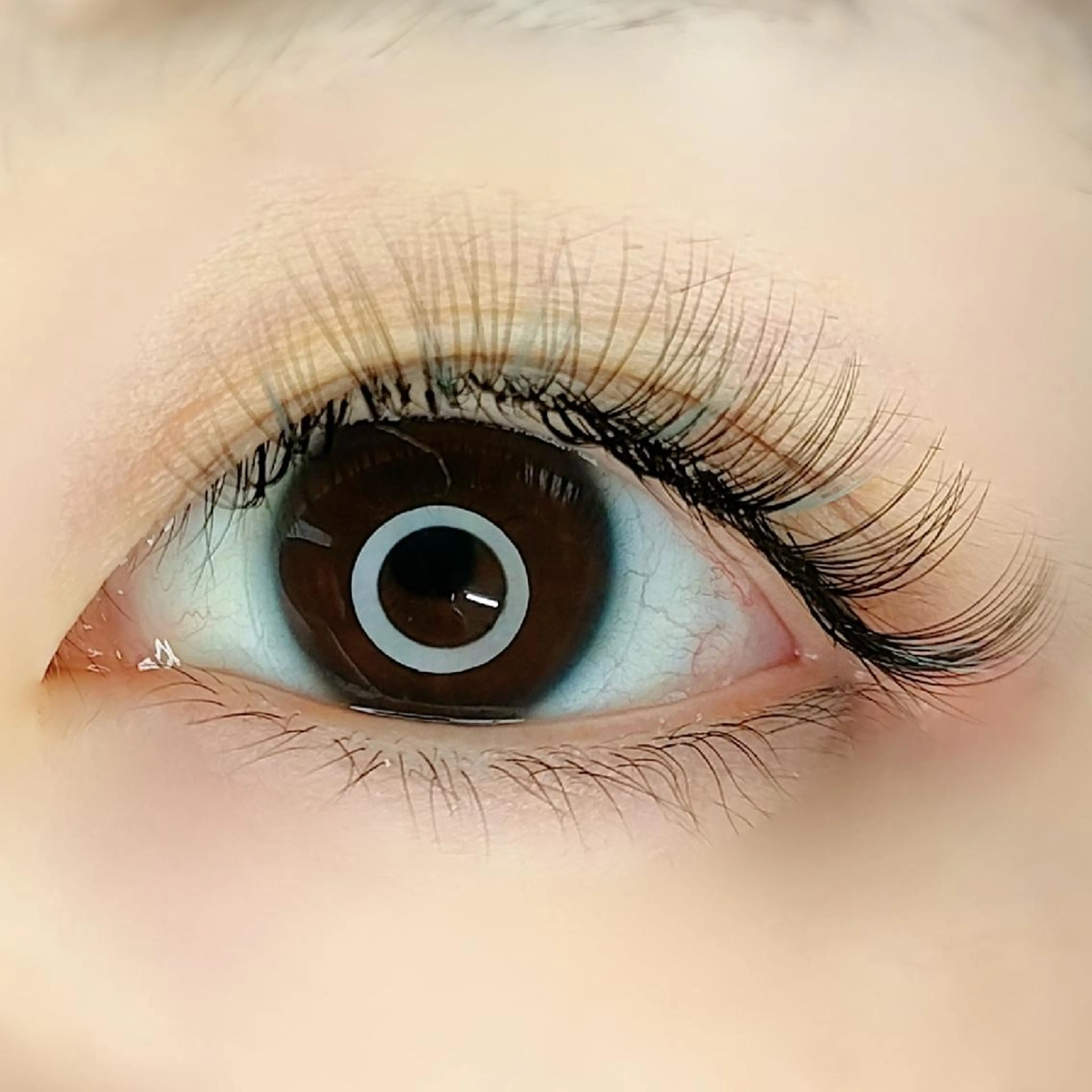 マツエク・マツパ 平山 ゆりのマツエク・マツパデザイン