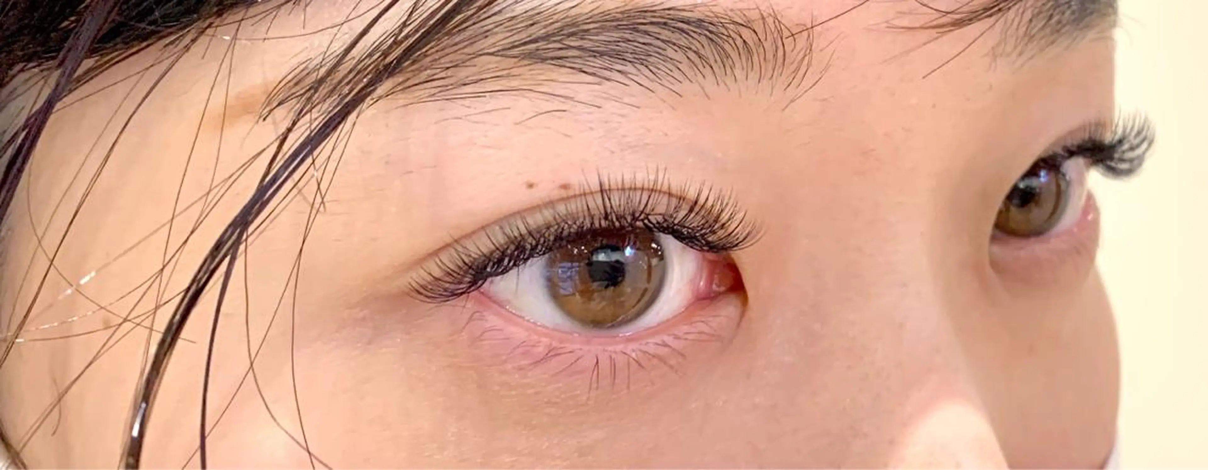 🌿ボリュームラッシュ ◗◗  100束の写真