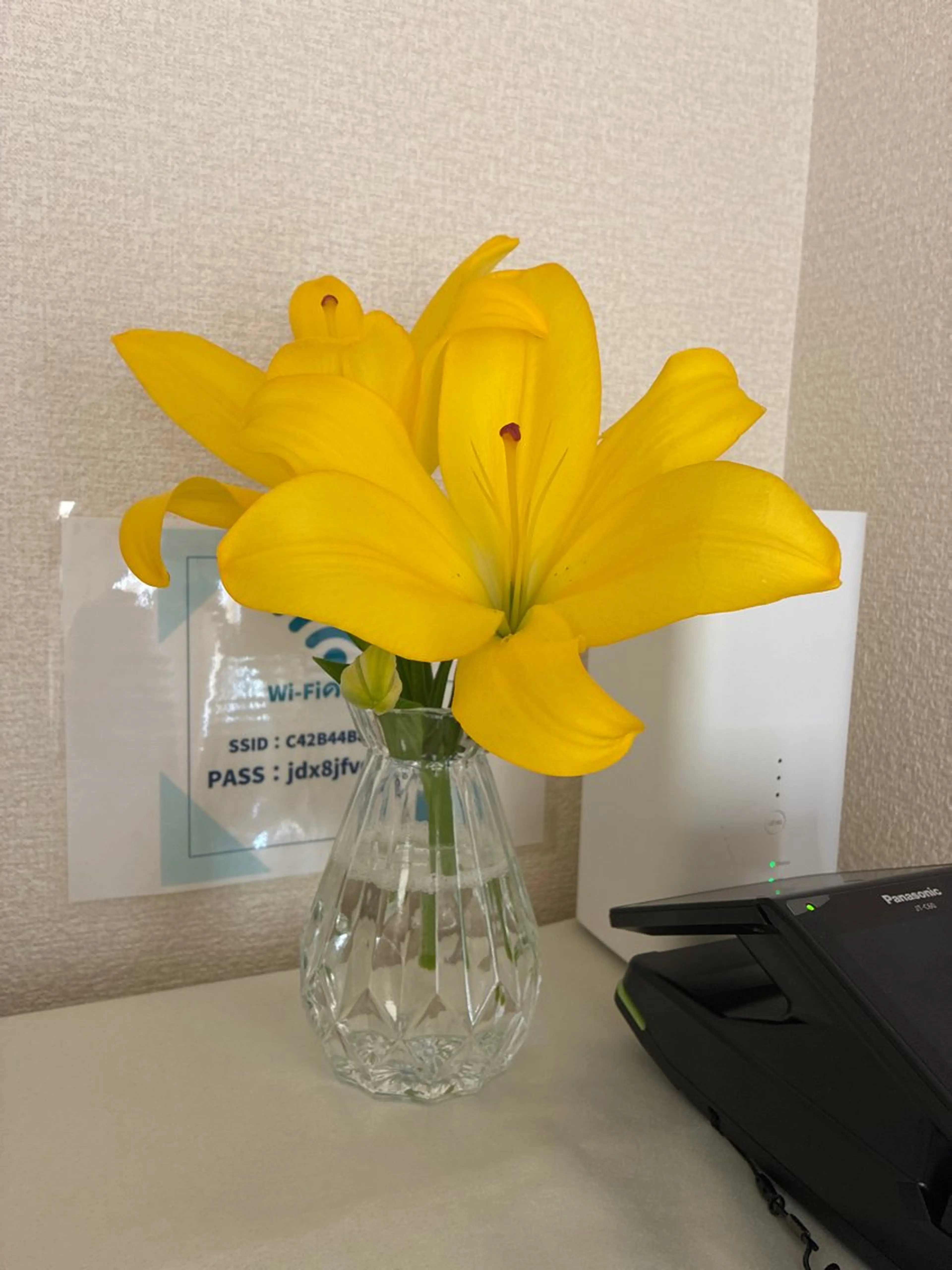 小倉 麻由のエステ・リラクイメージ