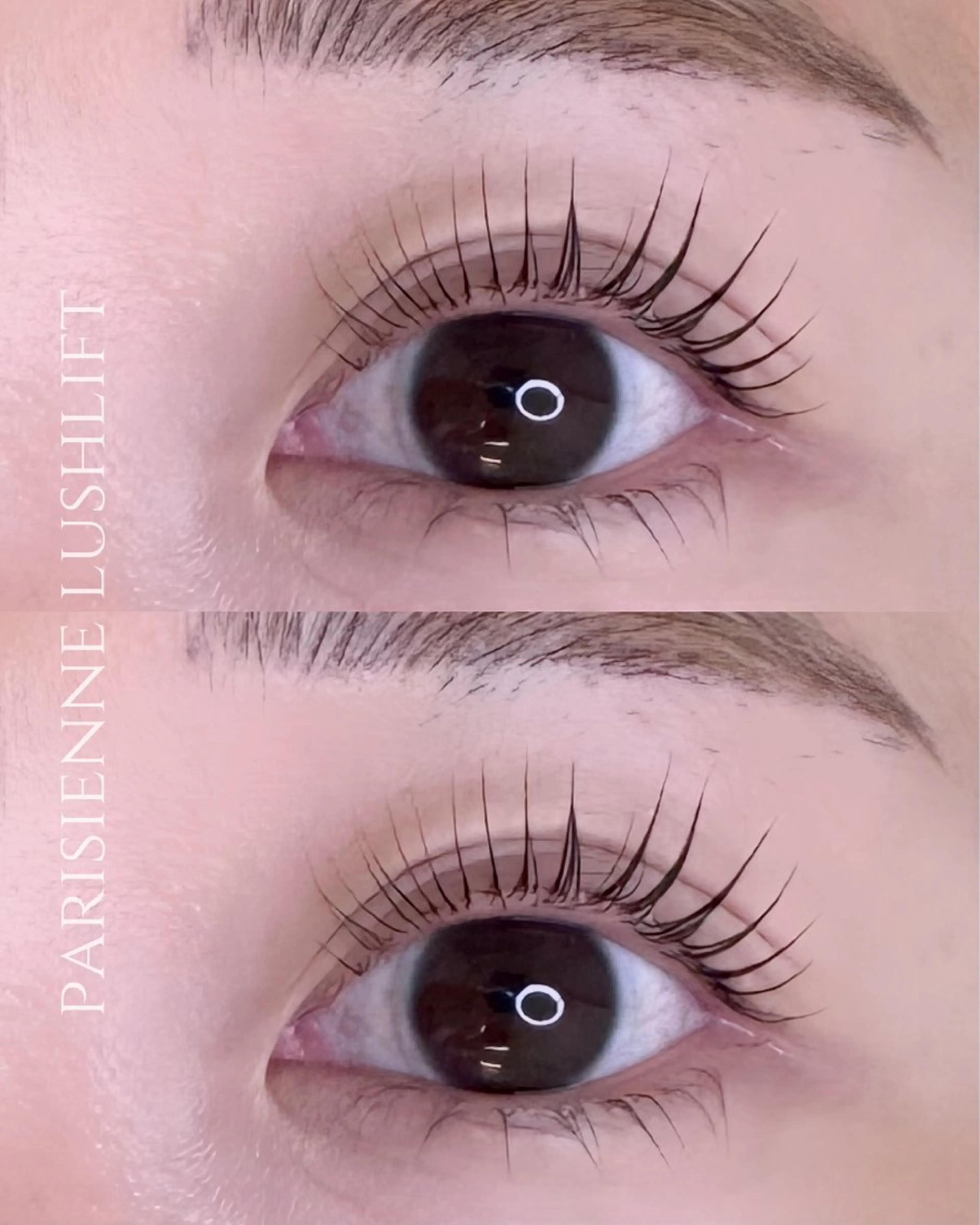 マツエク・マツパ MIZUKI🎀渋谷 束感まつげ/パリエクの眉毛・アイブロウイメージ