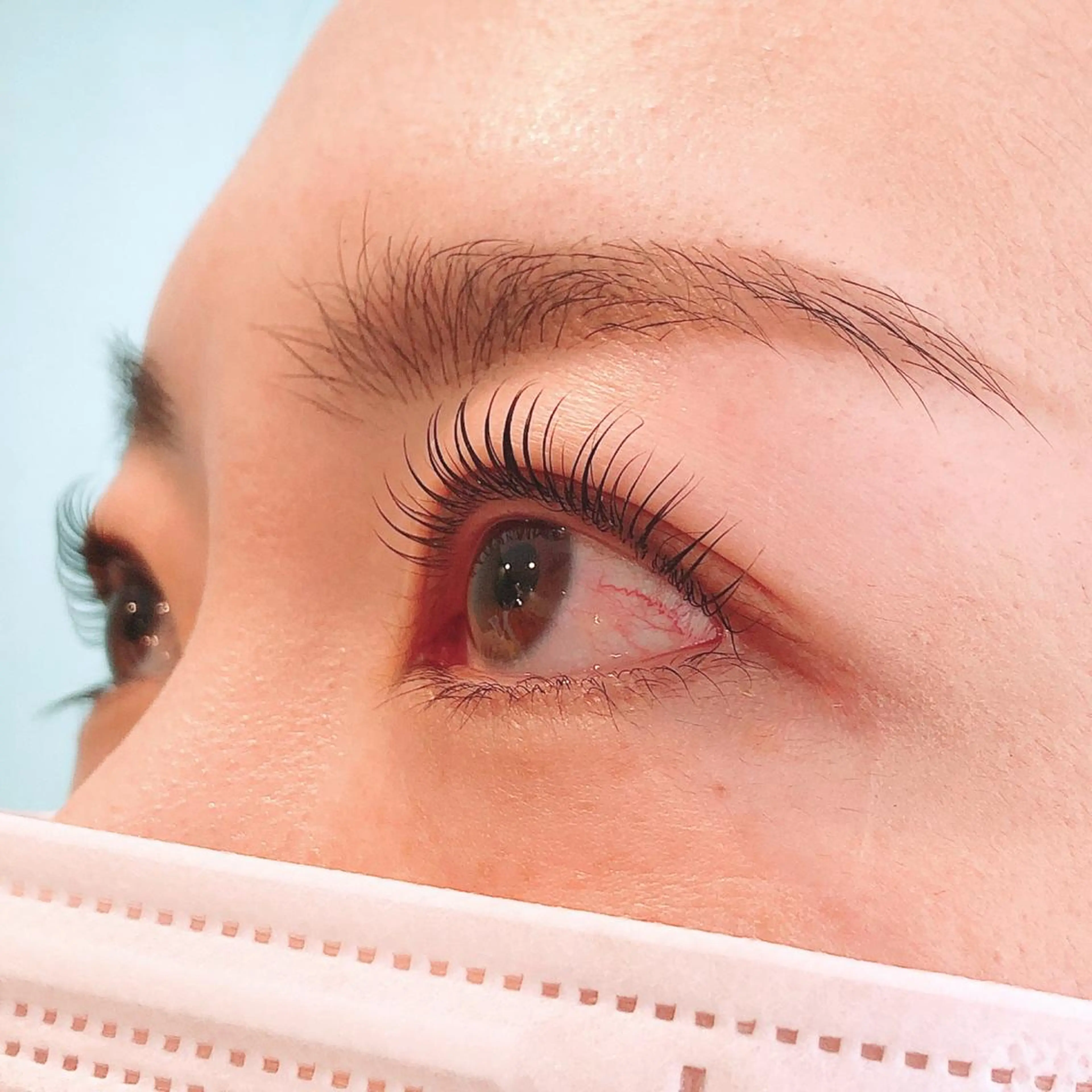 🦋まつ毛パーマ上下【トリートメント・アイシャンプー付】※パリジェンヌラッシュリフトは追加300円で承りますの写真