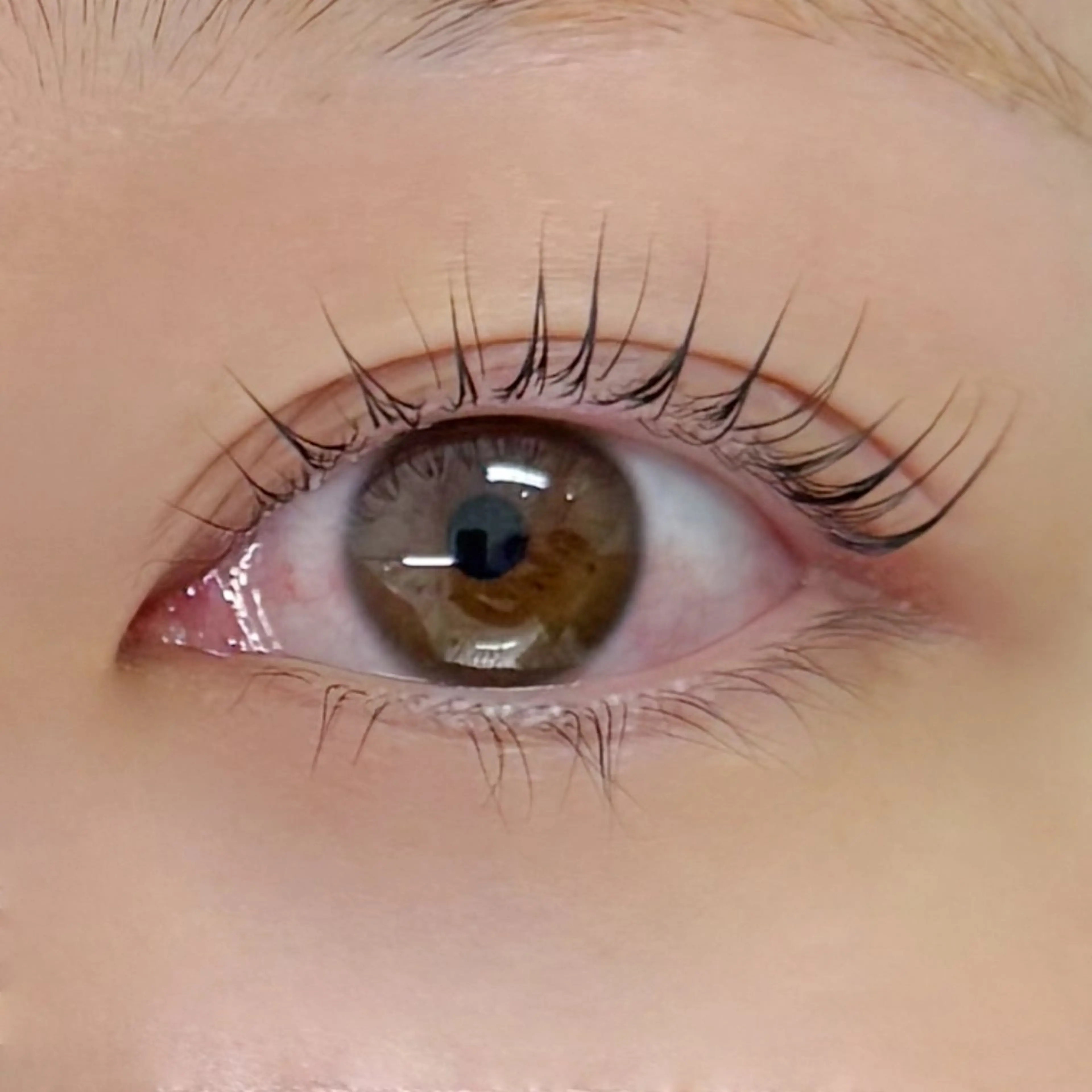 パリジェンヌ練習モデル ⚠️現金のみの写真