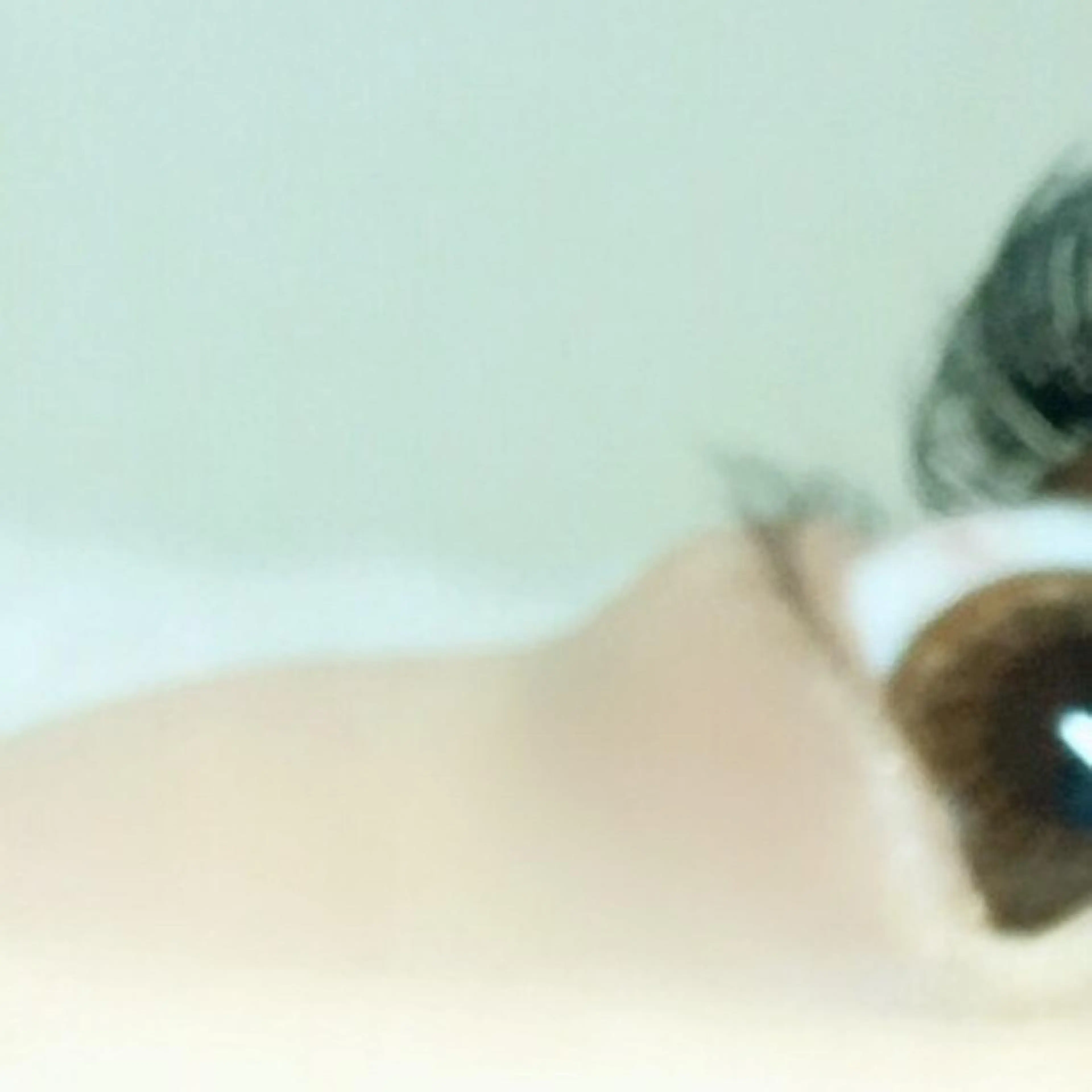 マツエク・マツパ eyelash- r🌹の眉毛・アイブロウイメージ