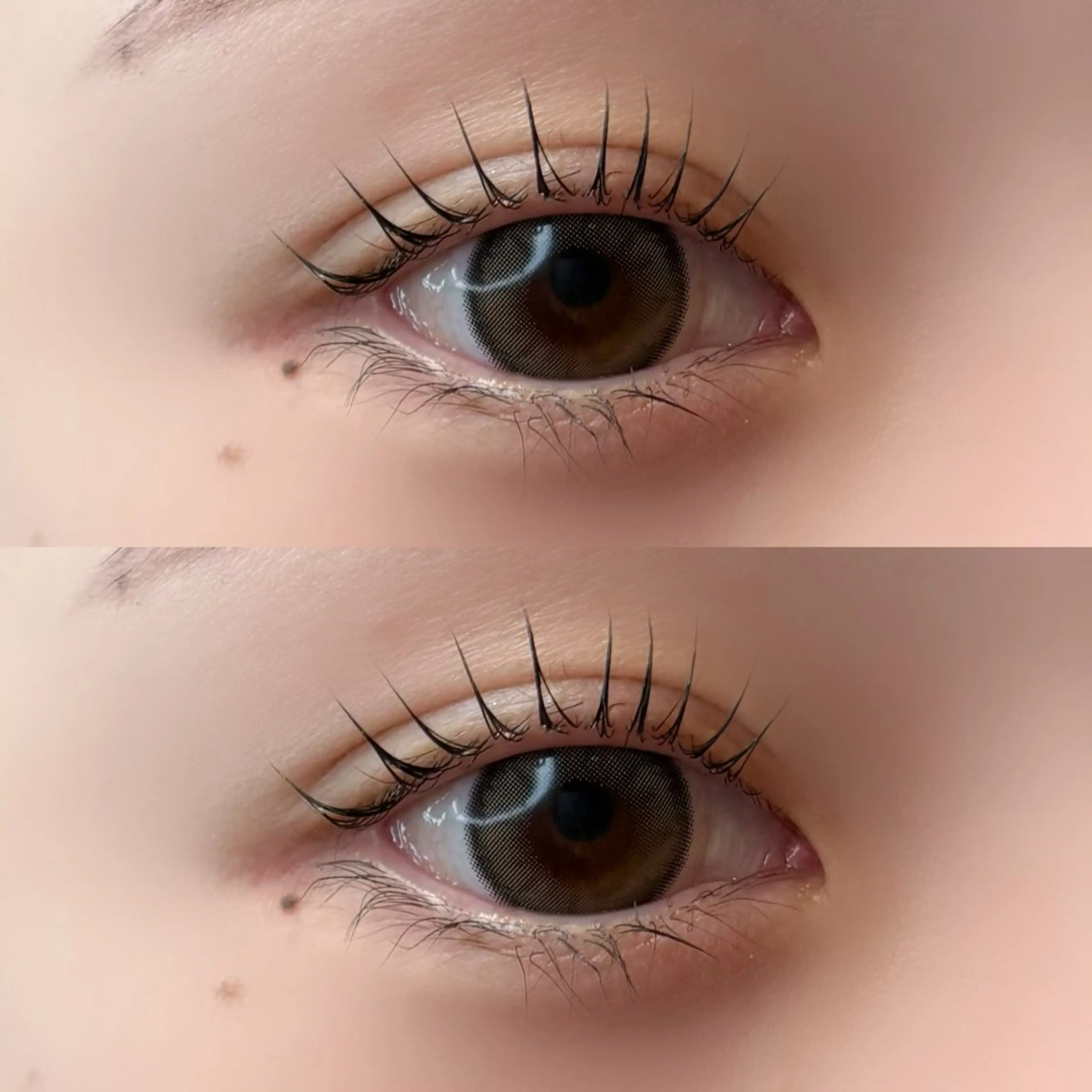 パリジェンヌラッシュリフトorまつ毛パーマ+束感コーティング🎀✨の写真