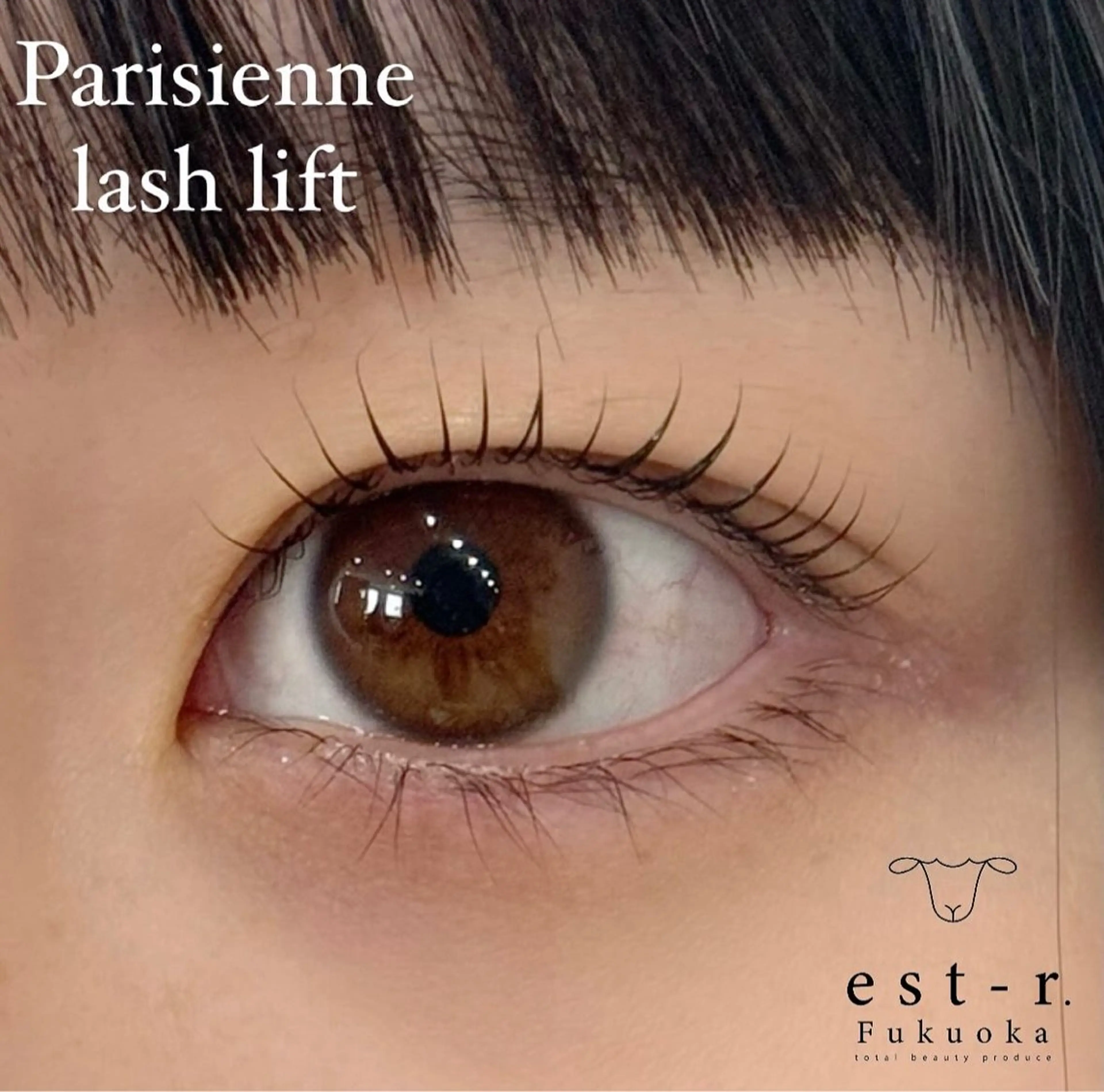 マツエク・マツパ miu エクステ/LEDのマツエク・マツパデザイン