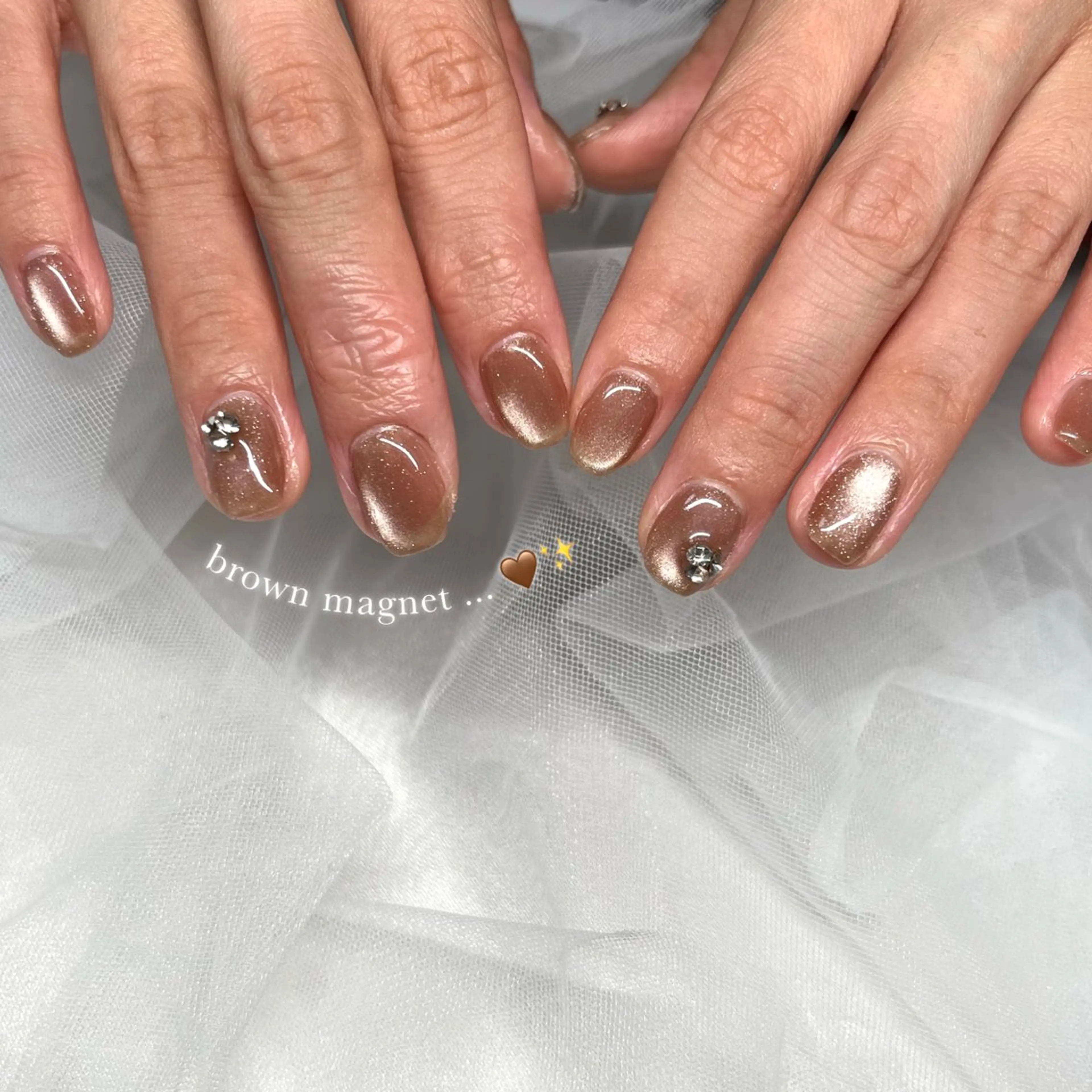 ネイル 長さ出し フラッシュネイル ジェルネイル マグネットネイル 持ち込み ハンドネイル 🌷Gemini nami🌷のネイルデザイン