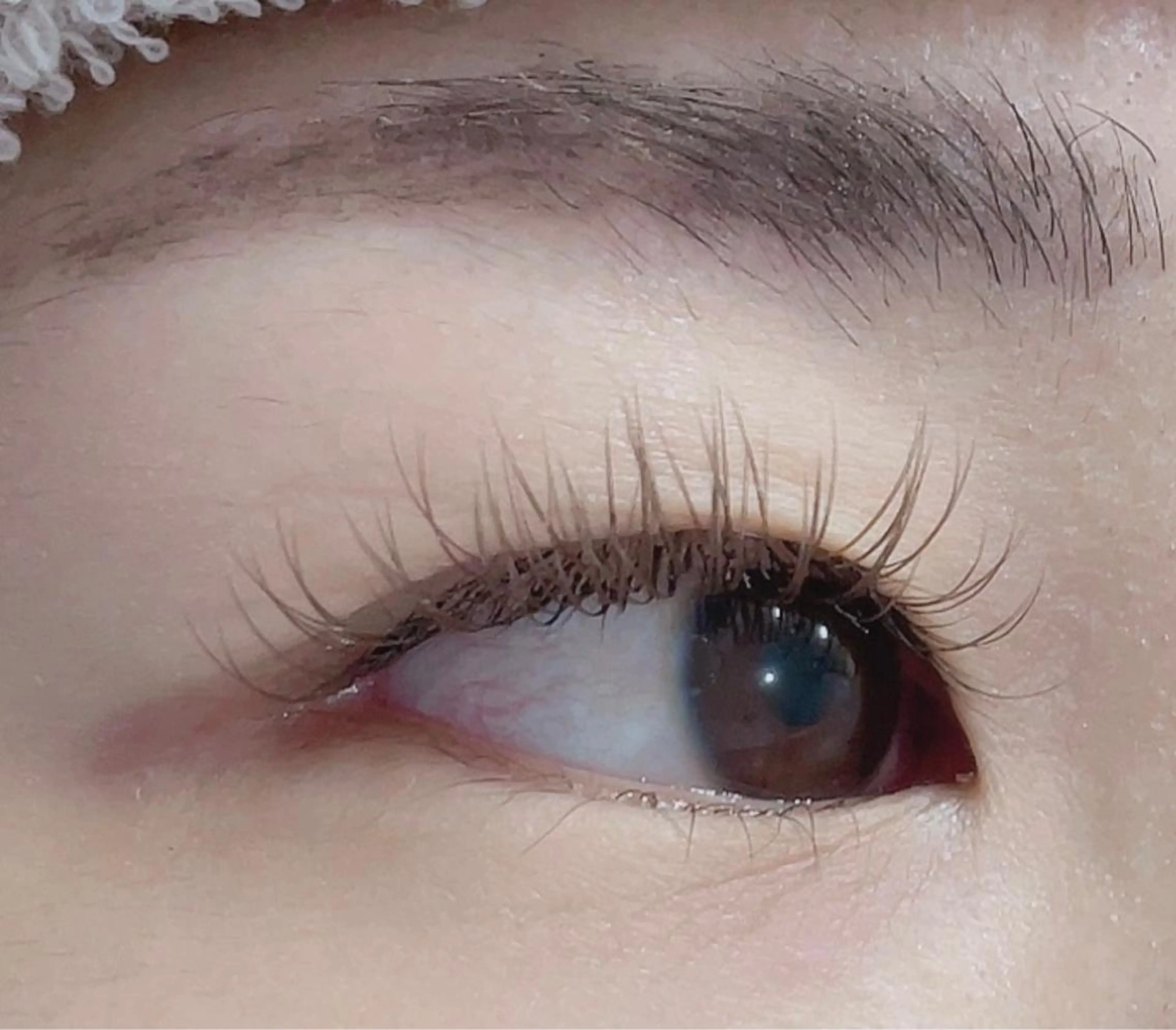 マツエク・マツパ カラーマツエク フラットラッシュ マツエク Eyelash ＊Freakのマツエク・マツパデザイン