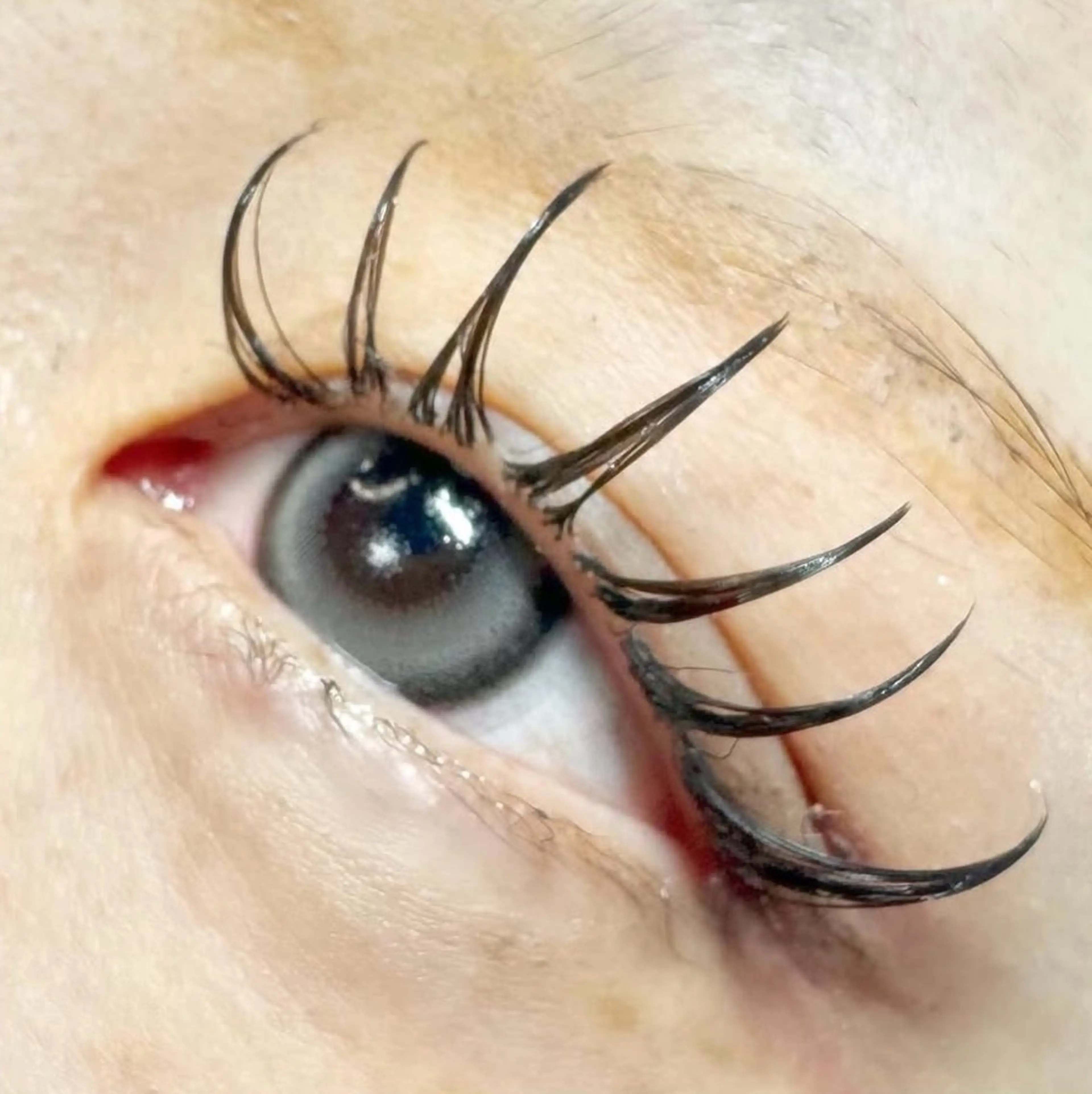 💜minimo限定💜120本➕高級美容液コーティング✨《フラットラッシュ》の写真