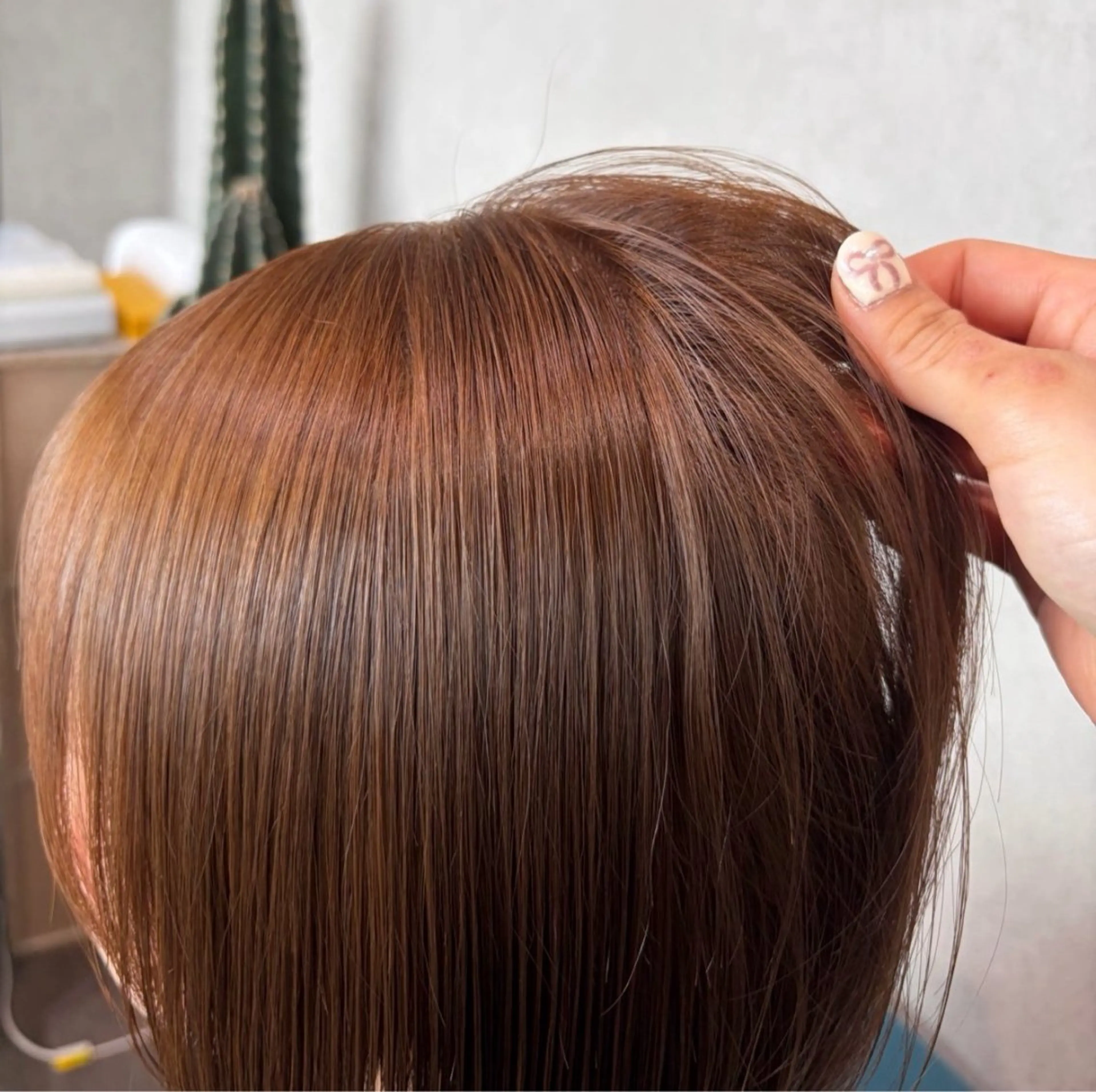 ワンカラー🫧✨の写真