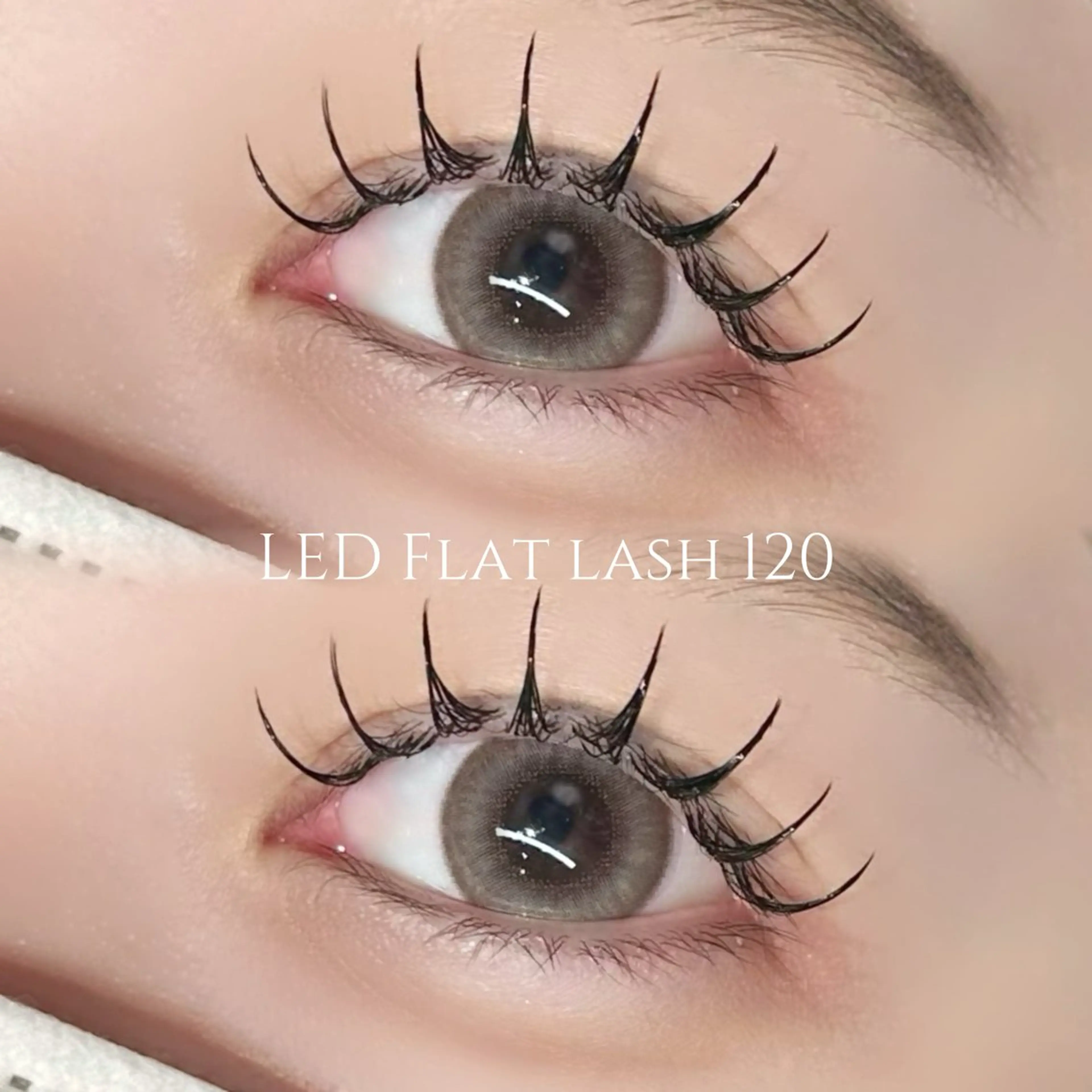 【モチ抜群◎】オフあり🙆🏻LEDフラットラッシュ120本💛ご新規様 ¥5900/再来様 ¥7230の写真