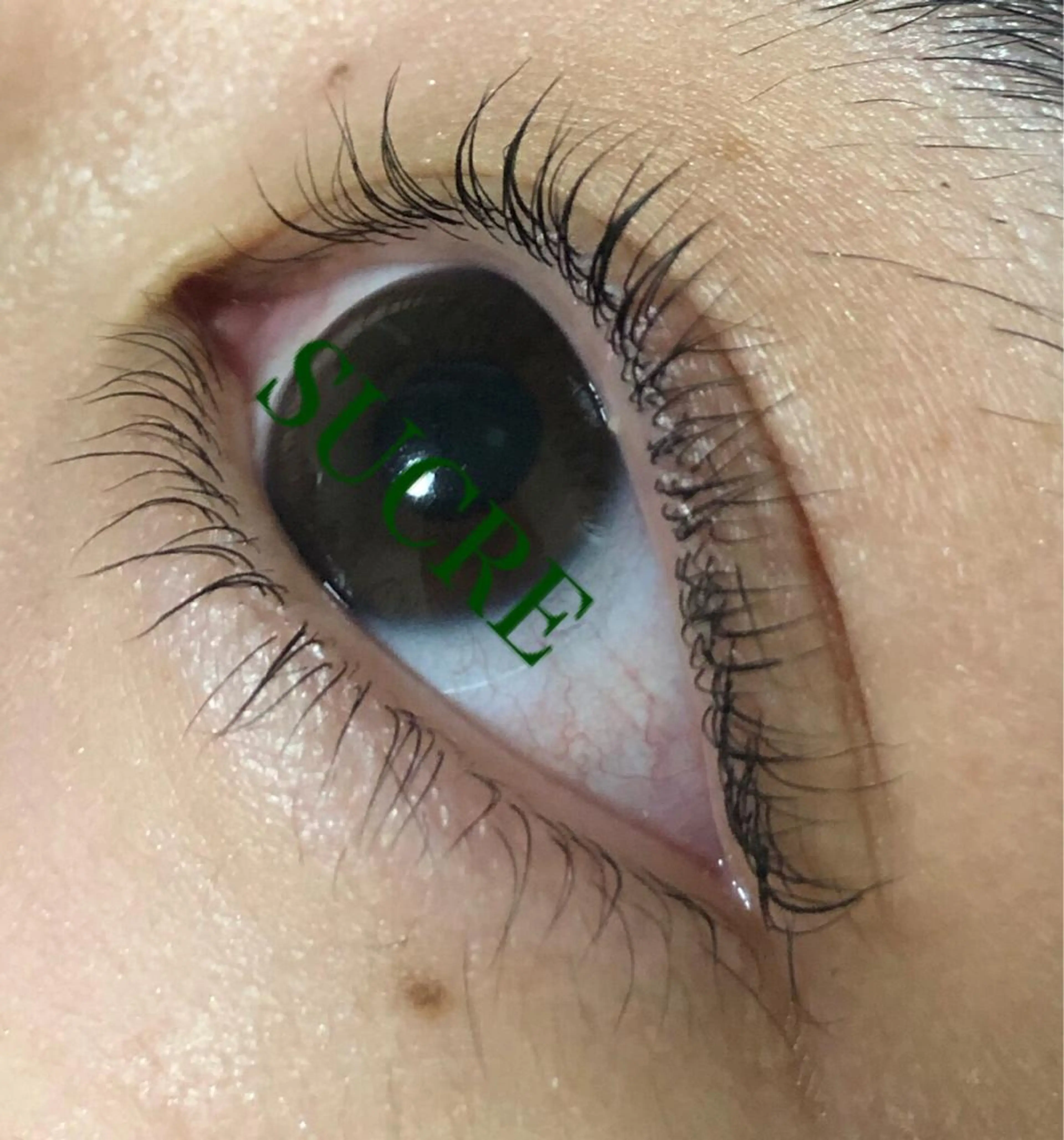 マツエク・マツパ EyelashSalon Liz.&所属・Liz.&現ino 平田のマツエク・マツパデザイン