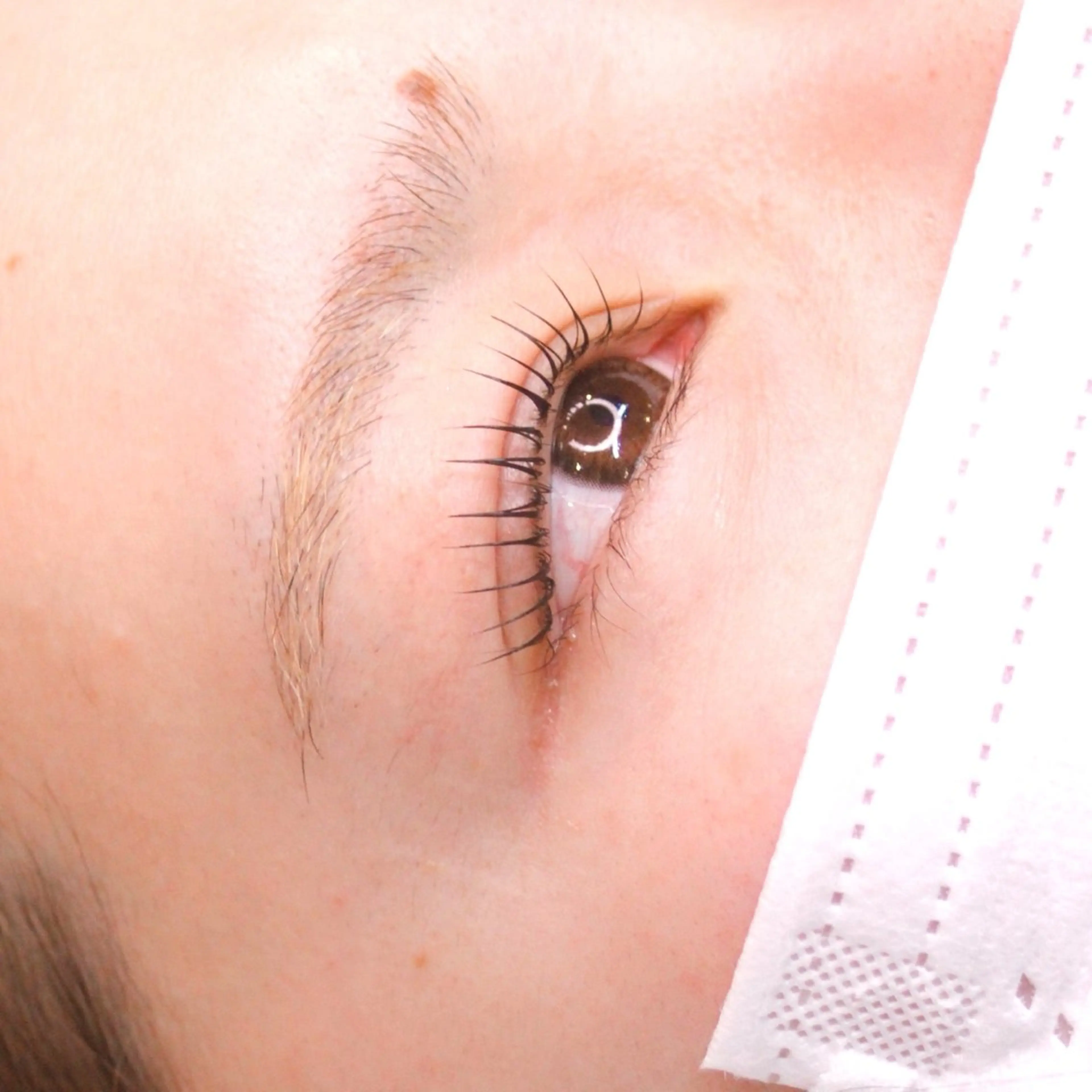 マツエク・マツパ マツパ Feather MAIのマツエク・マツパデザイン