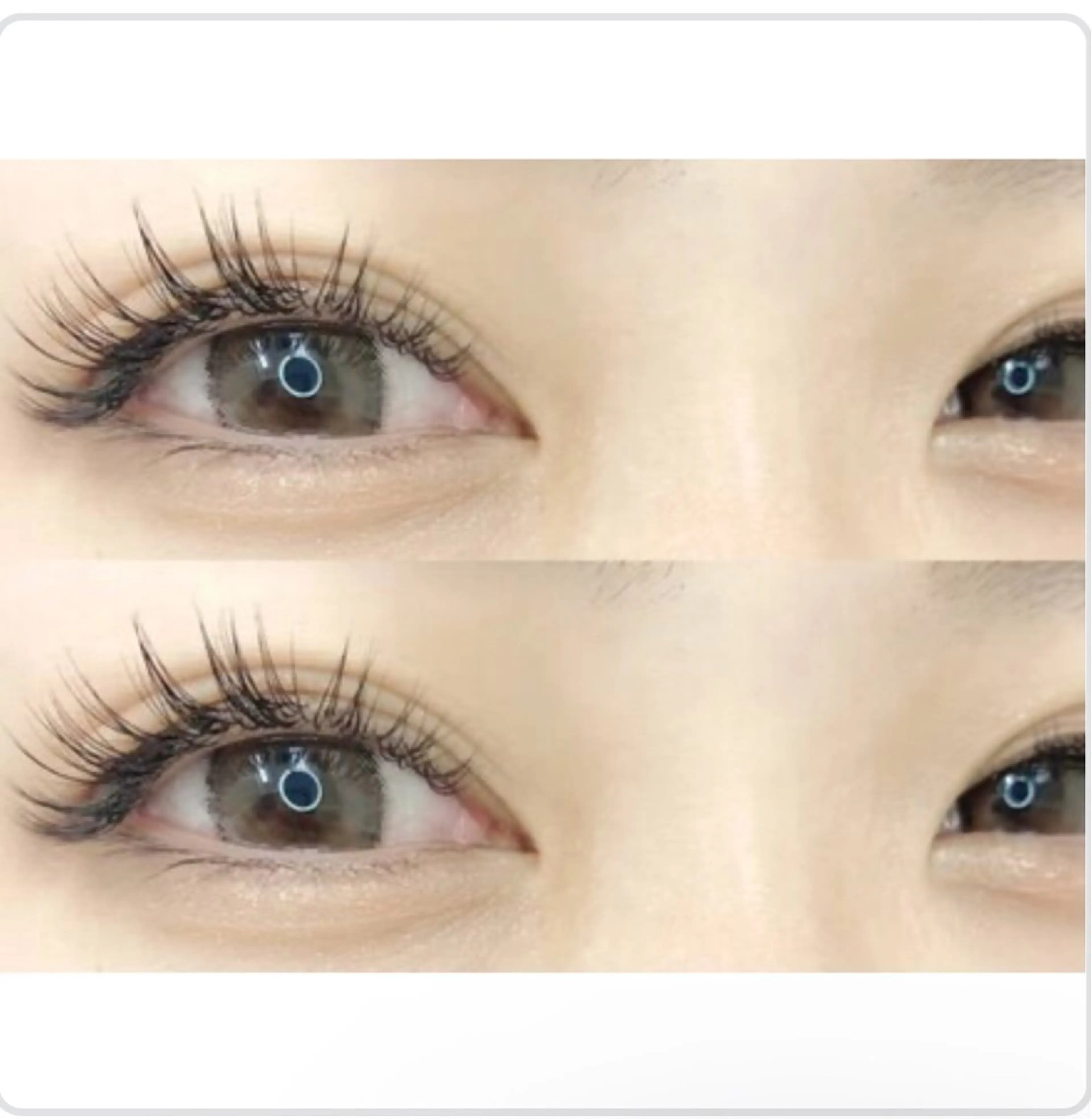 Jrアイリスト🔰エクステ140本   付け足し不可〈オフ無料〉の写真