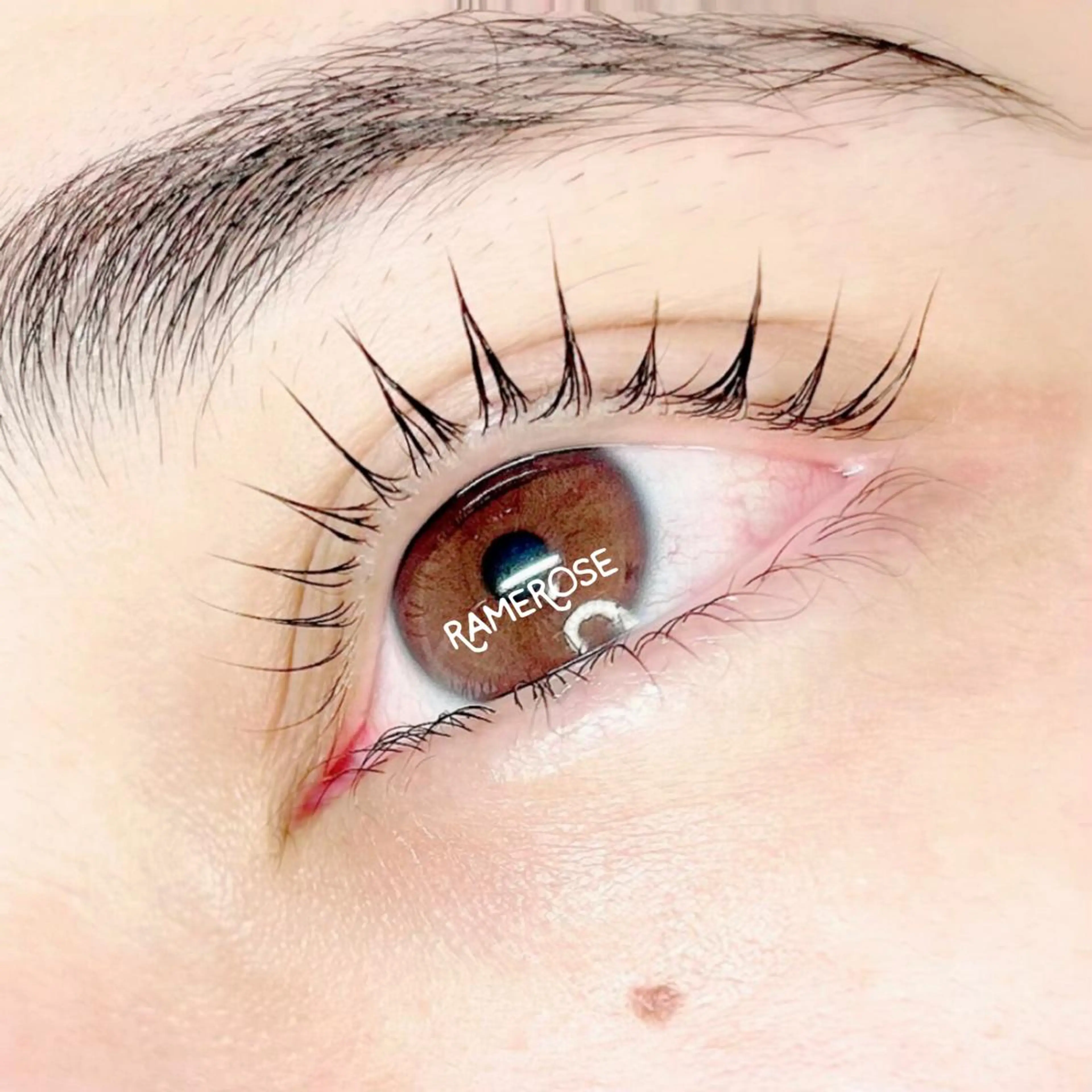 マツエク・マツパ パリジェンヌラッシュリフト アイラッシュサロン ラメローズのマツエク・マツパデザイン