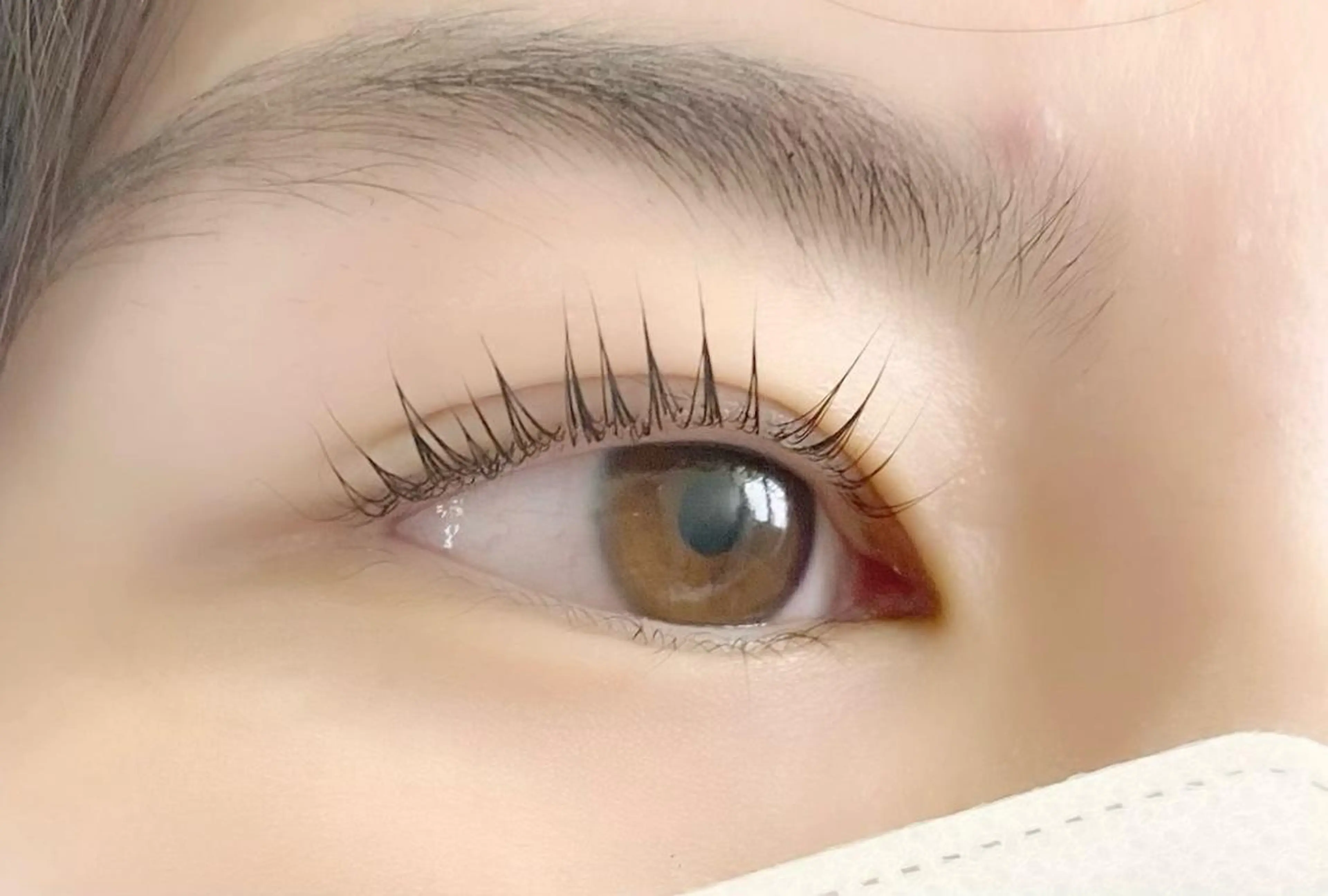 マツエク・マツパ パリジェンヌラッシュリフト eyelash "Koa"🕊🤎のマツエク・マツパデザイン