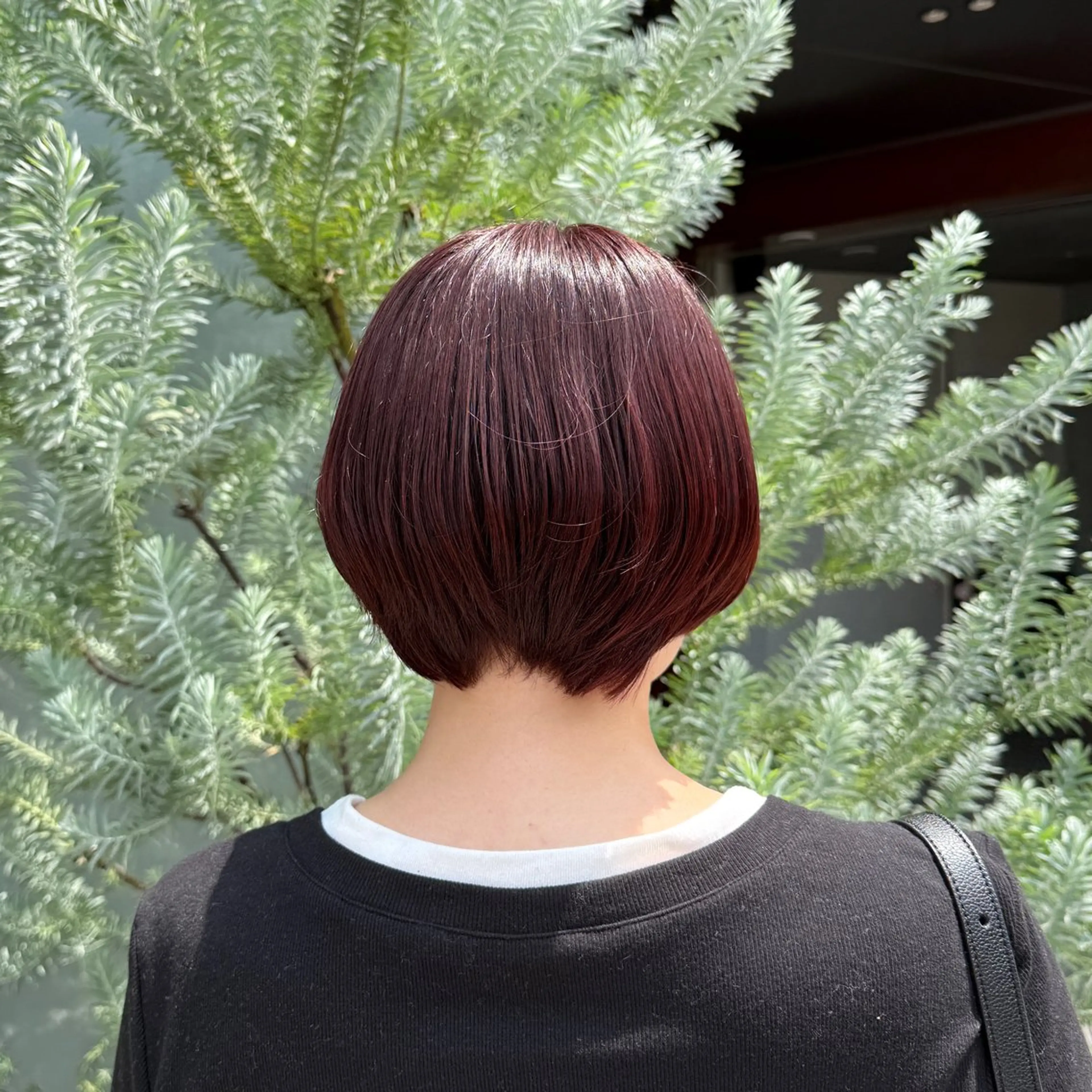 カラー ピンクカラー 柳樂 響のヘアスタイル