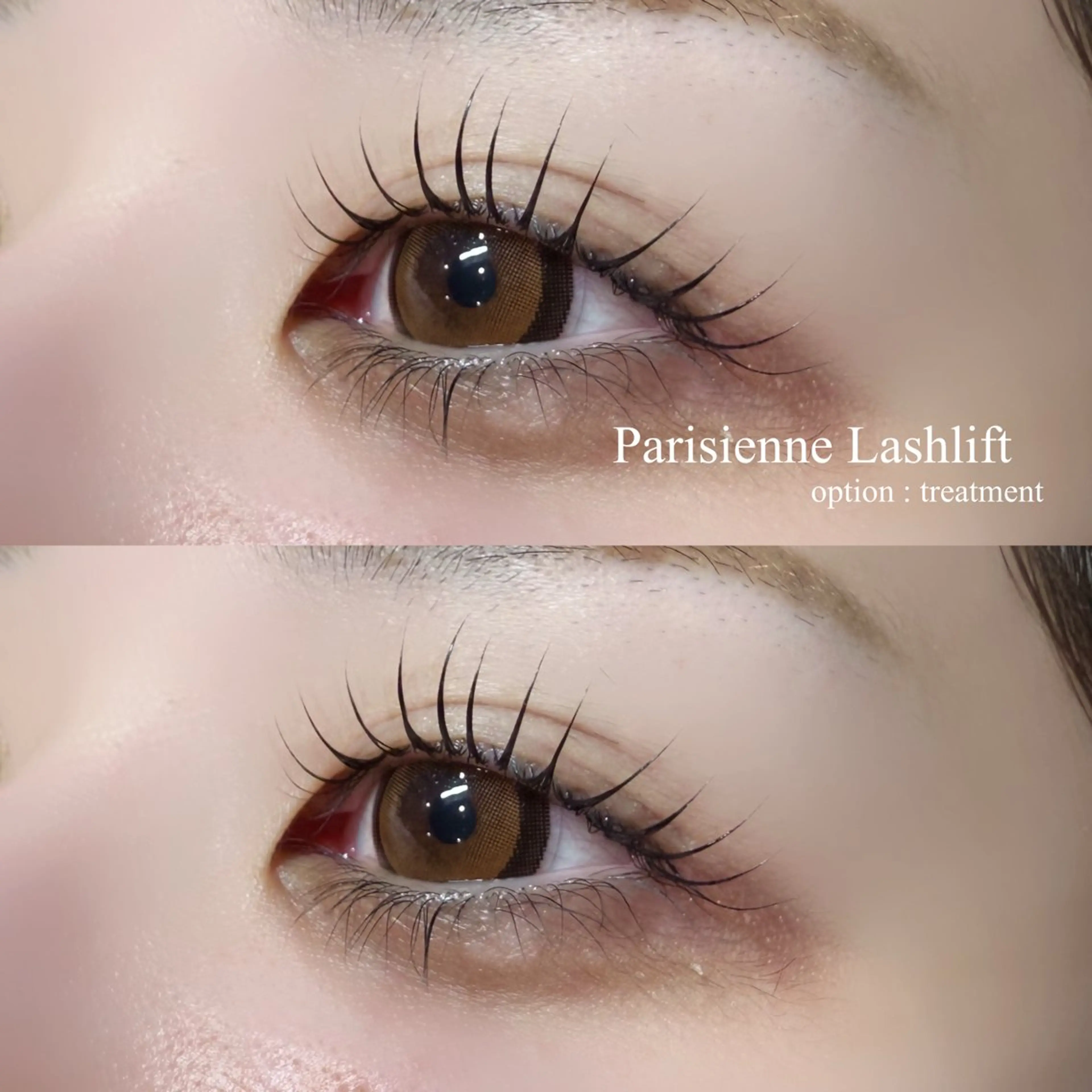 《 本日限定 》  Parisienne Lashlift ✧*｡の写真