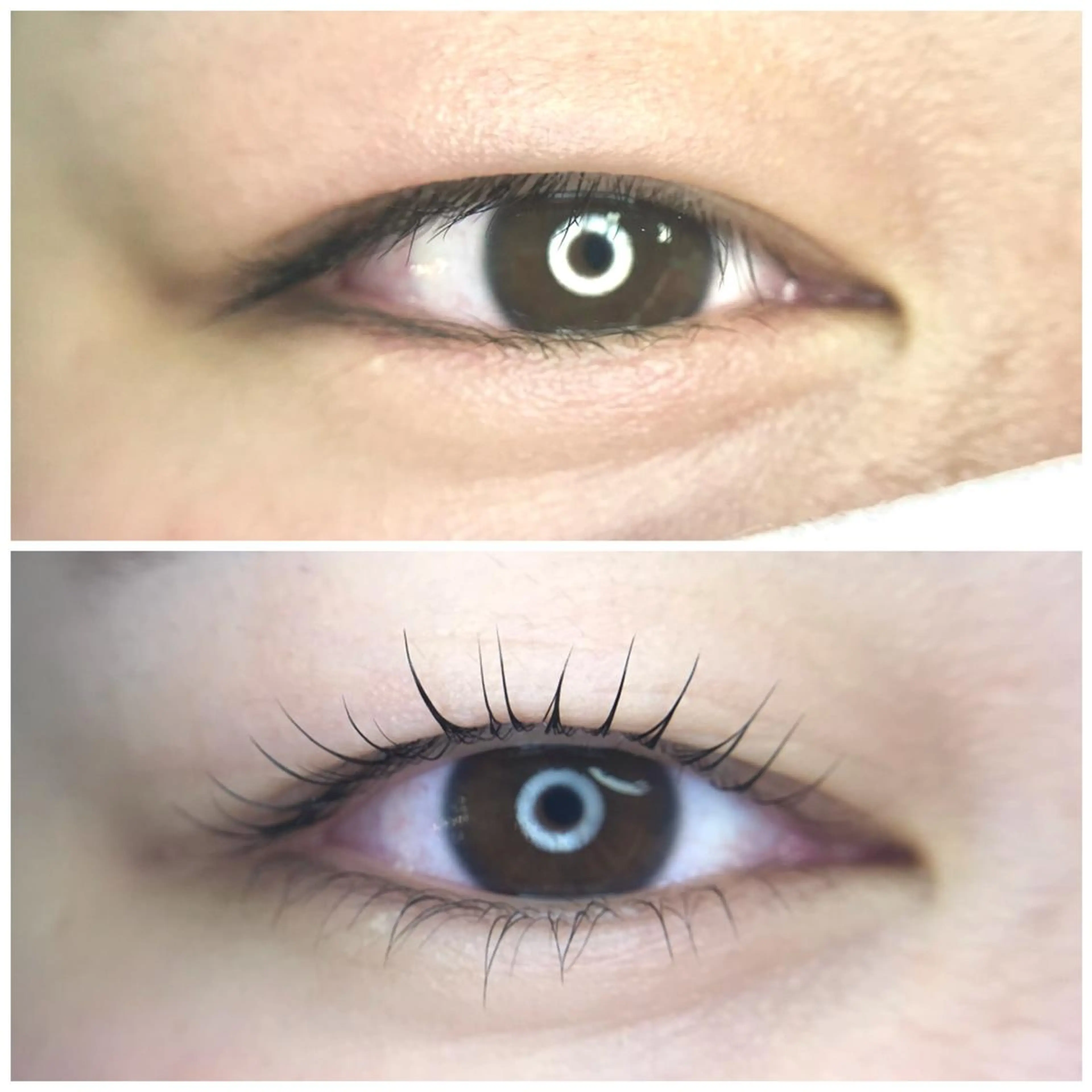 上下ラッシュリフト(まつ毛パーマ)の写真