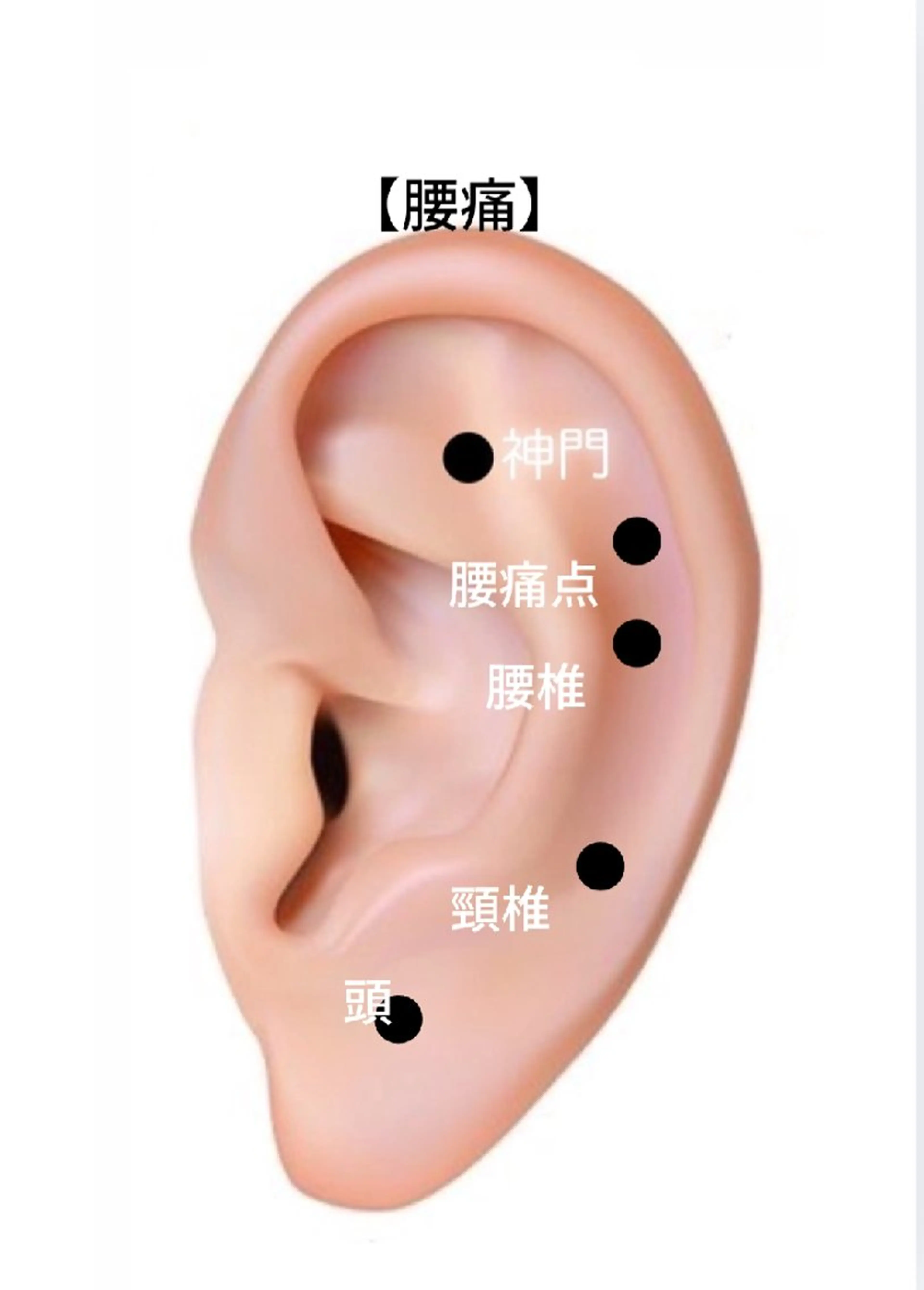  SOLEIL 小玉の眉毛・アイブロウイメージ