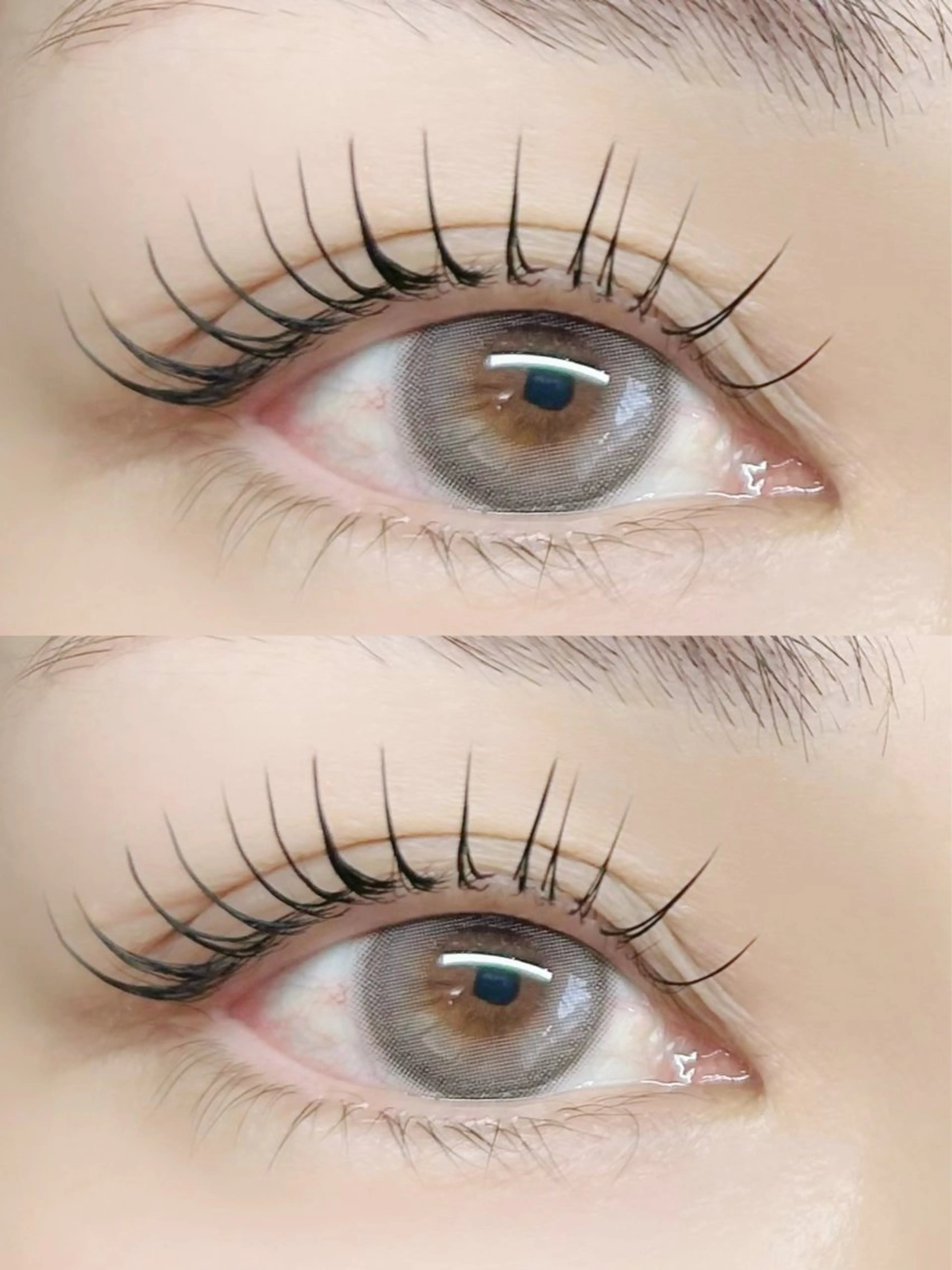 フラットラッシュ120本の写真