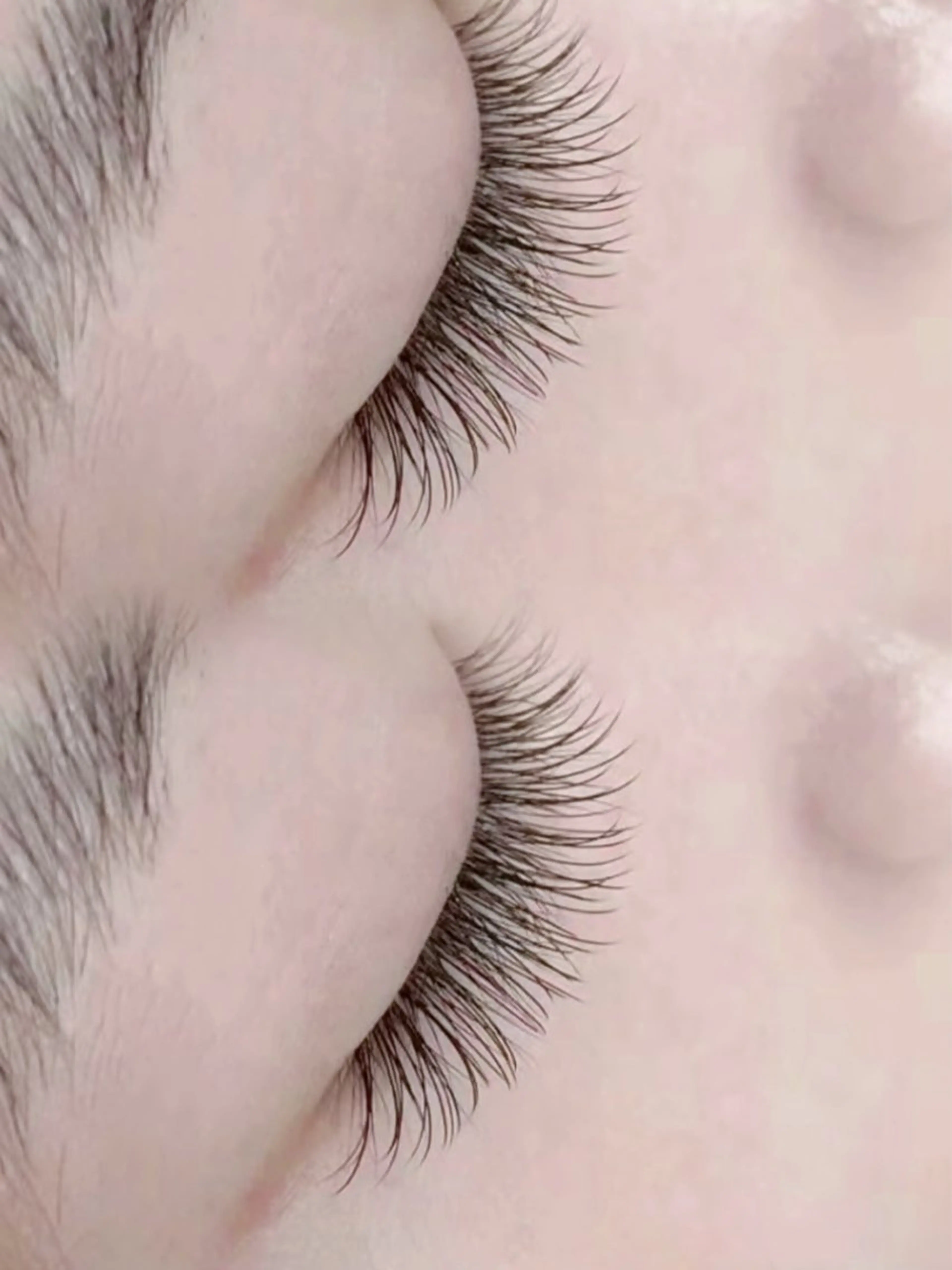 BABY CURL /BABY ストレート　フラットラッシュつけ放題200本まで　+美容液の写真