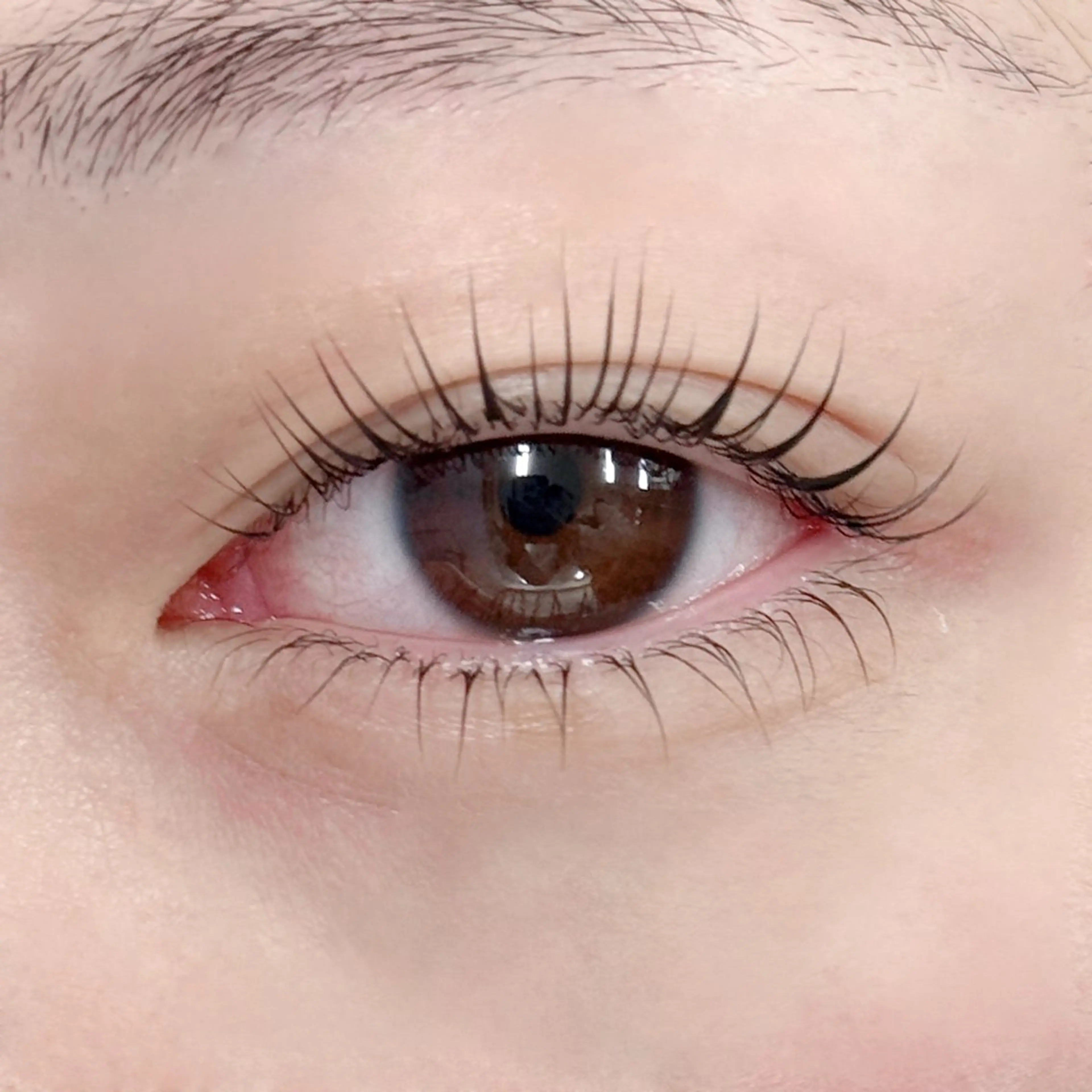 マツエク・マツパ マツパ LUCIA ルチアの眉毛・アイブロウイメージ