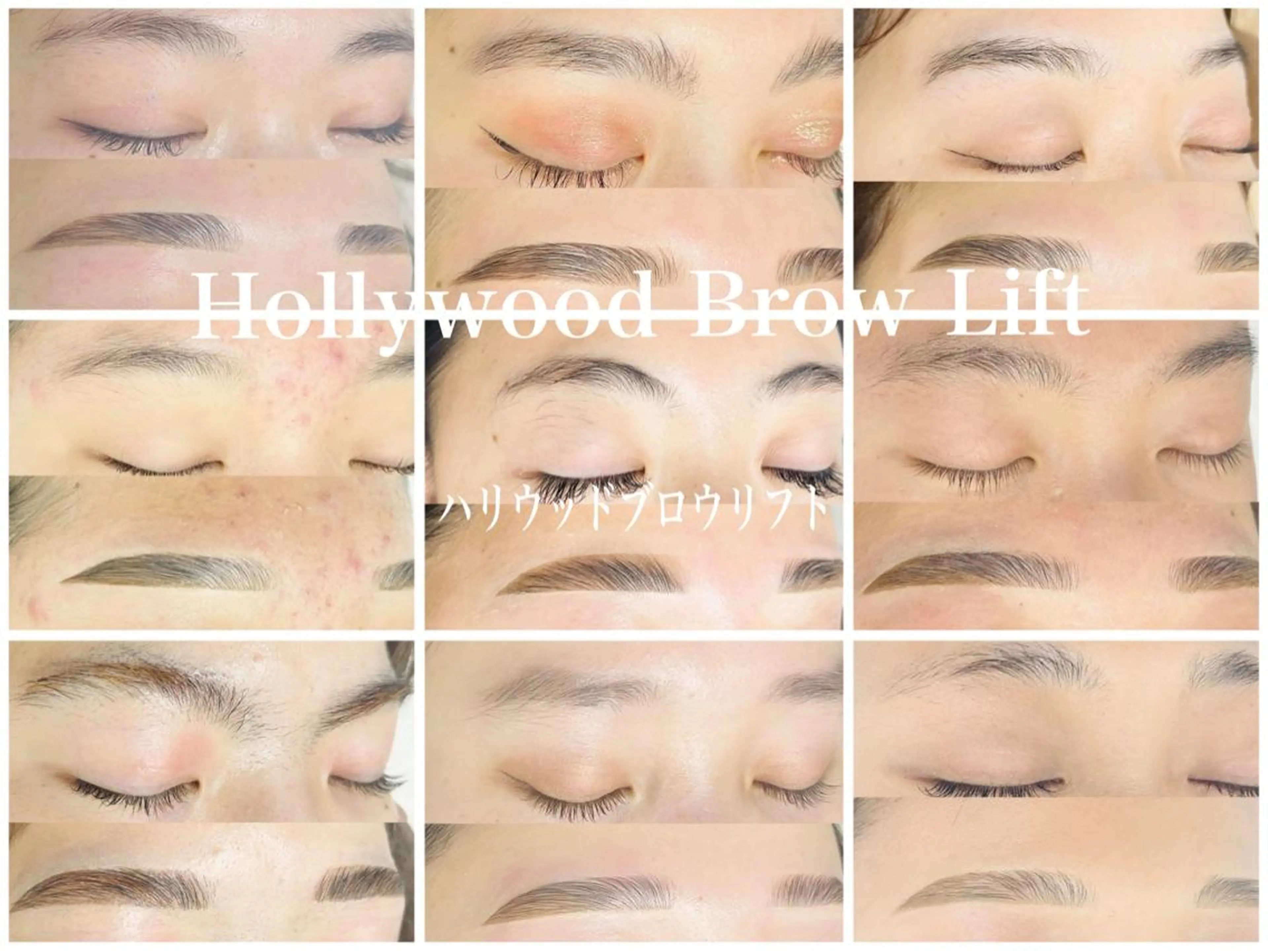 アイブロウ White Camellia○椿のマツエク・マツパデザイン