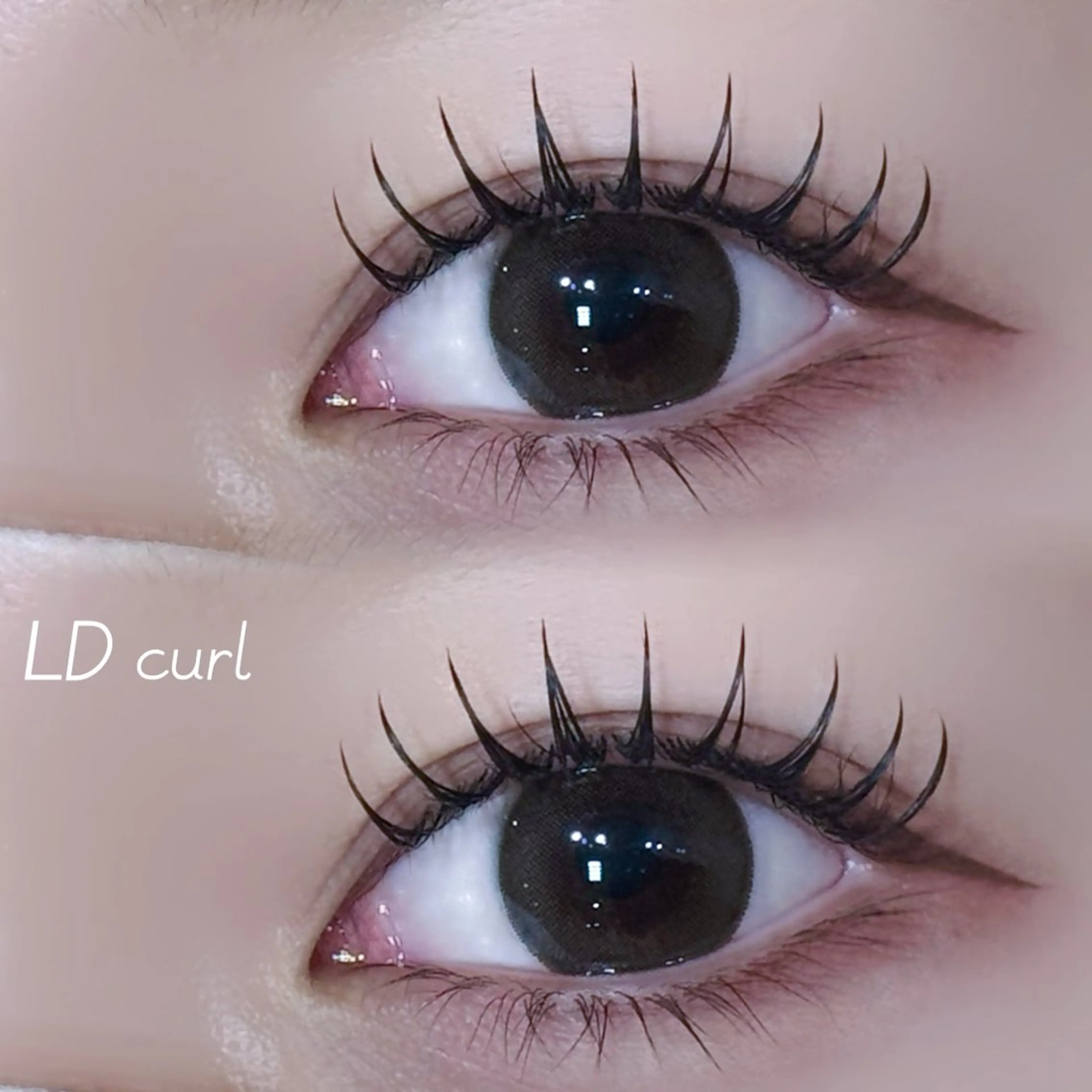 マツエク・マツパ Dカール マツエク Chaton IGARASHIのマツエク・マツパデザイン