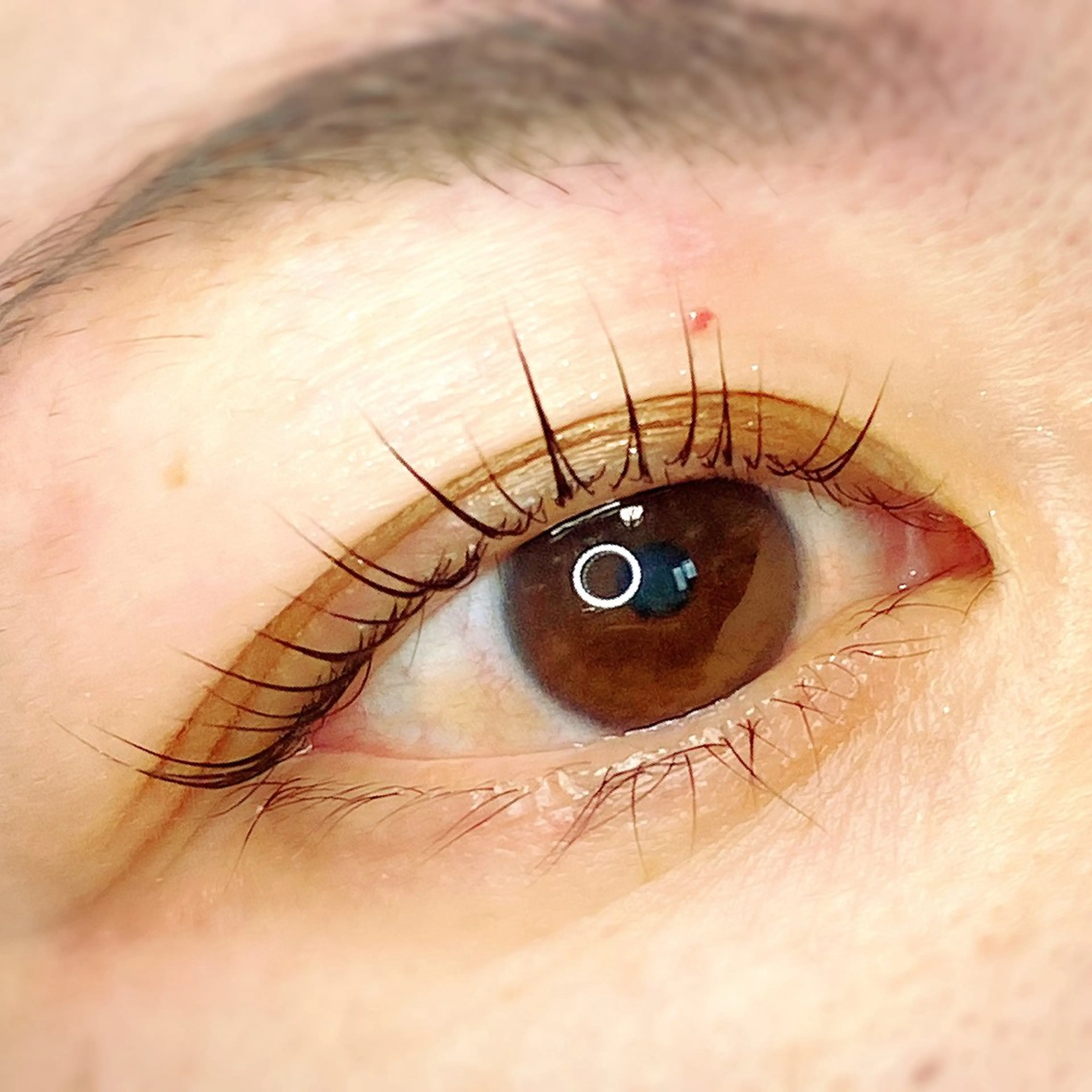 マツエク・マツパ Rebio(リビオ) Momoのマツエク・マツパデザイン