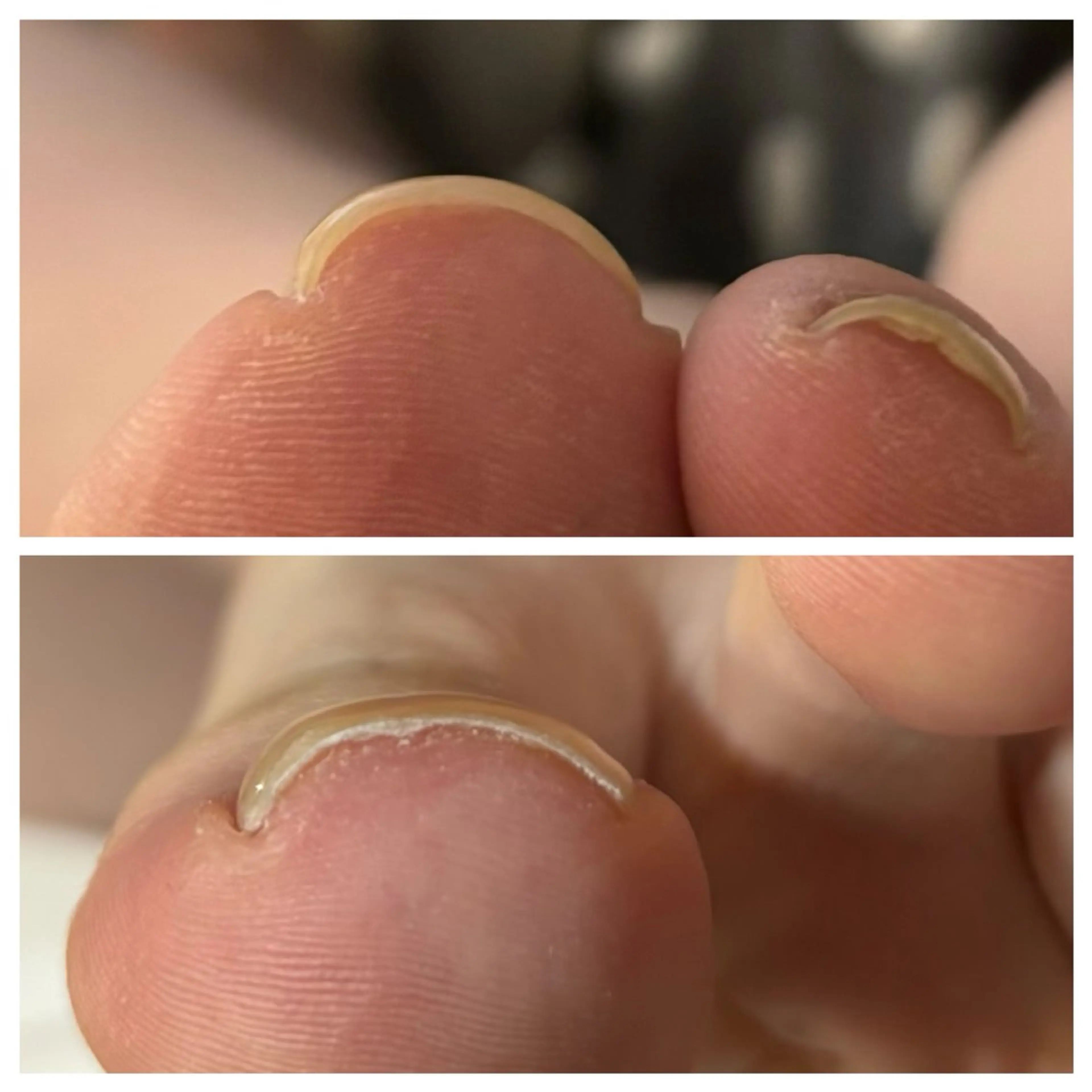 ネイル フットネイル Amy nail care salonのネイルデザイン